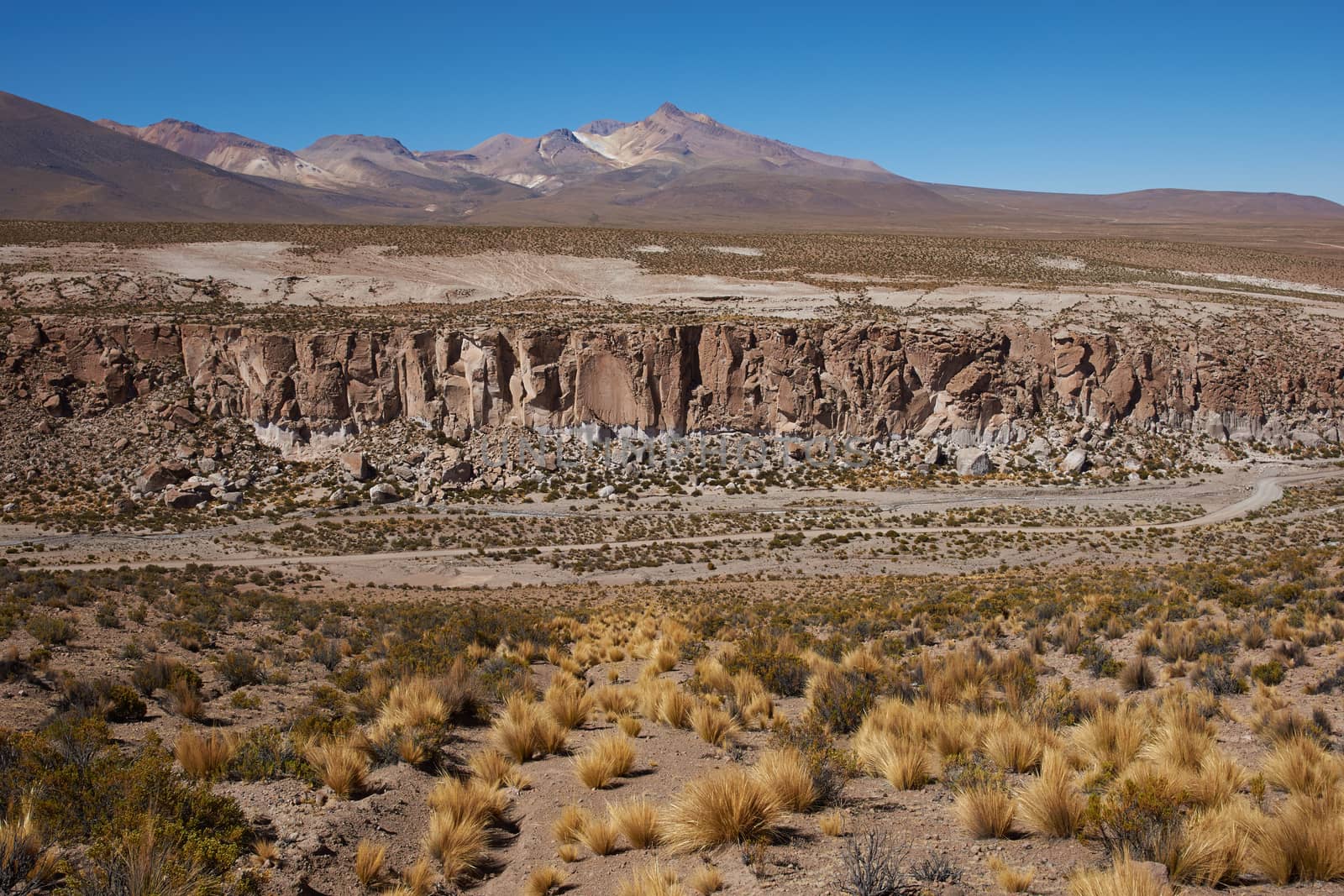 Desert canyon running through the Altiplano of Lauca National Park in northern Chile