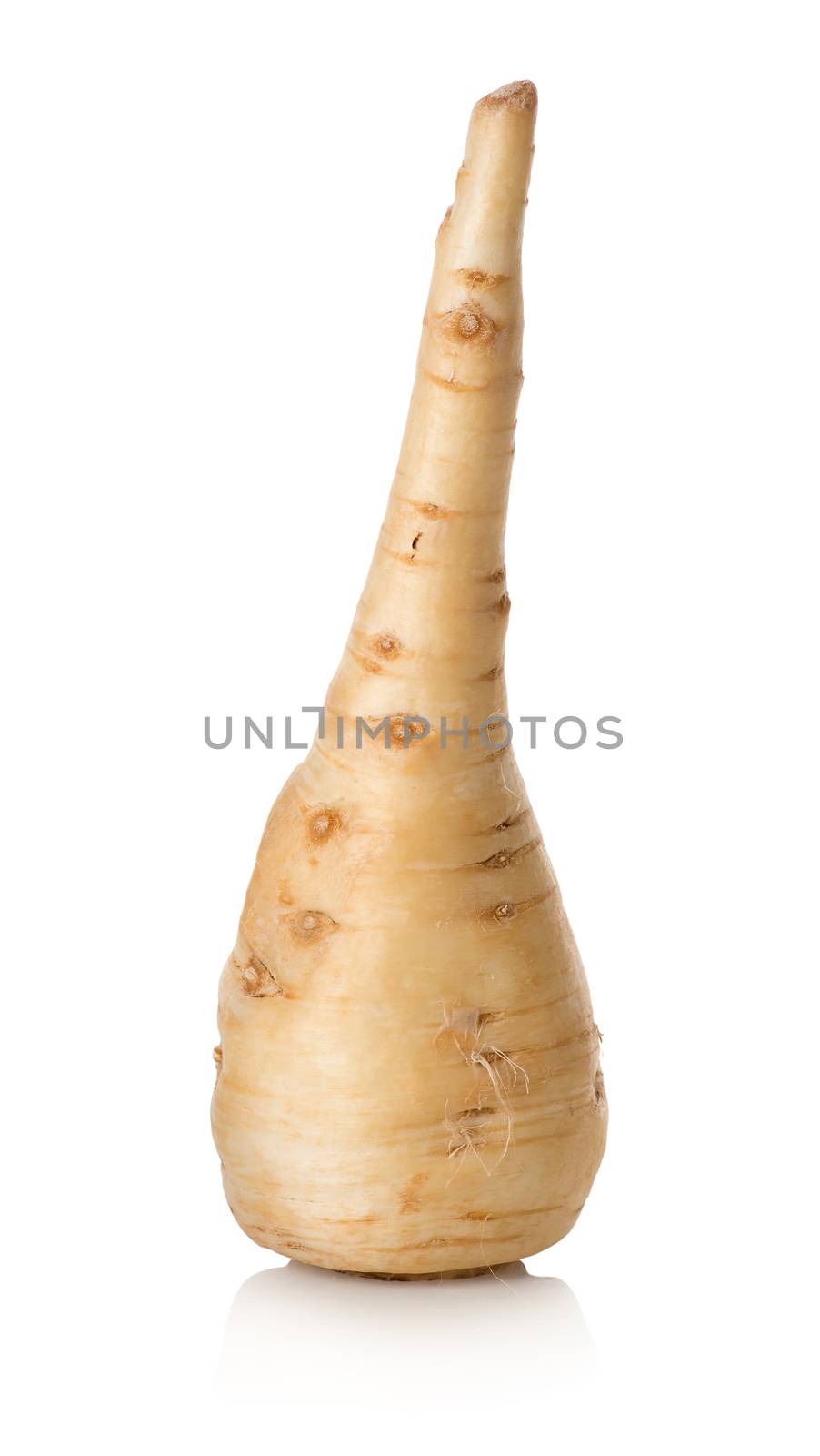 Parsley root isolated on a white background
