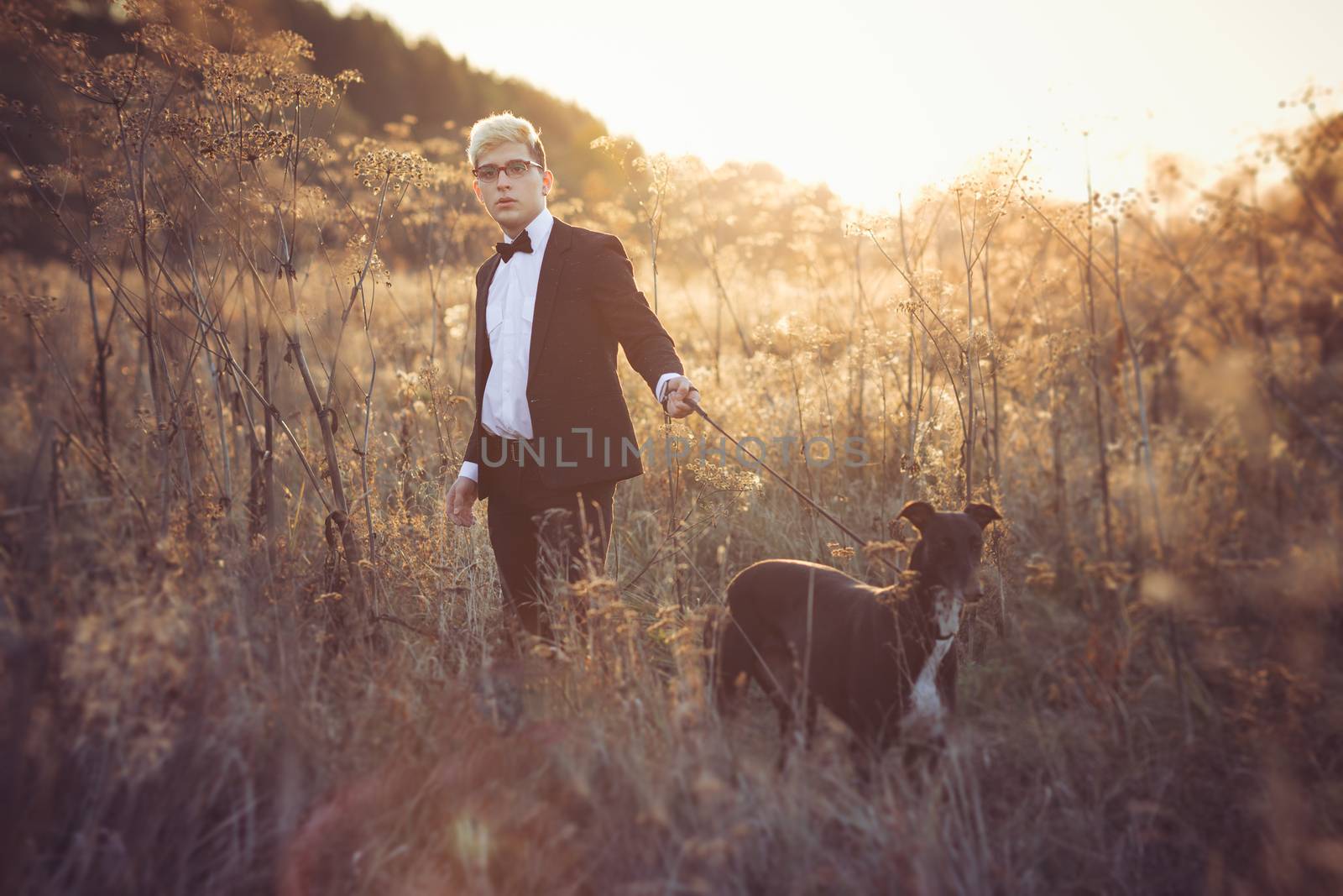 Young attractive man in suit and tie with a greyhound dog in autumn outdoors. He keeps the dog on the leash.