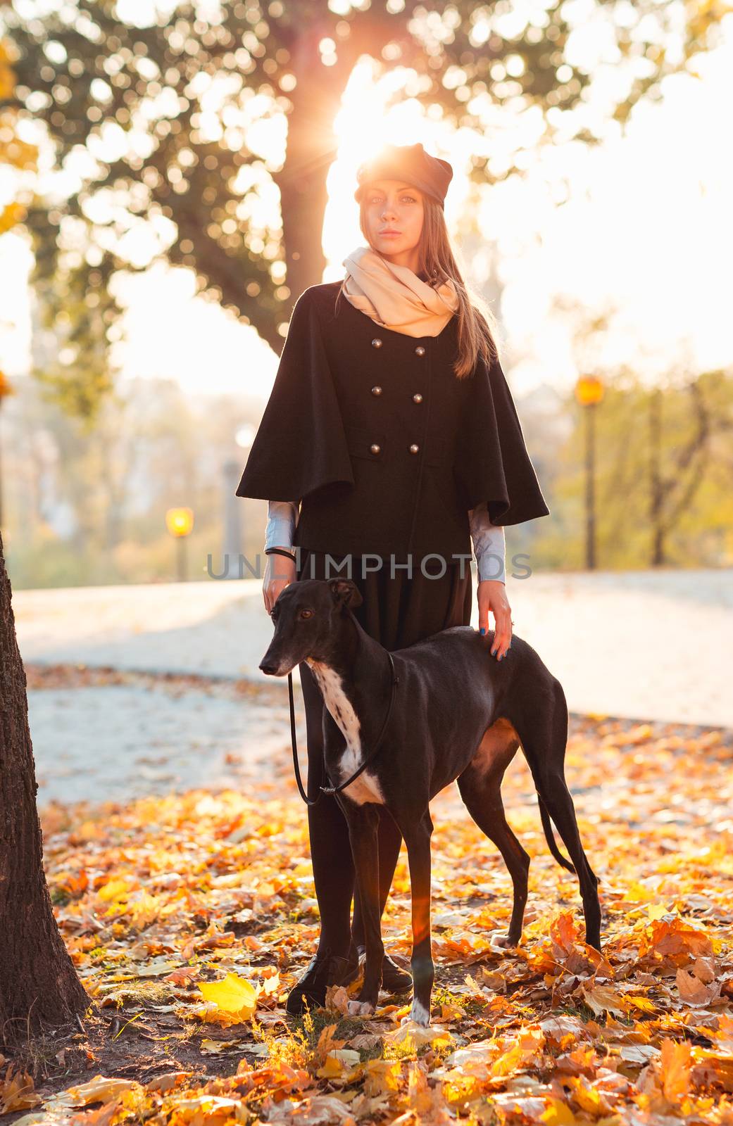 Young attractive girl dressed elegantly walks with the dog greyh by vlad_star