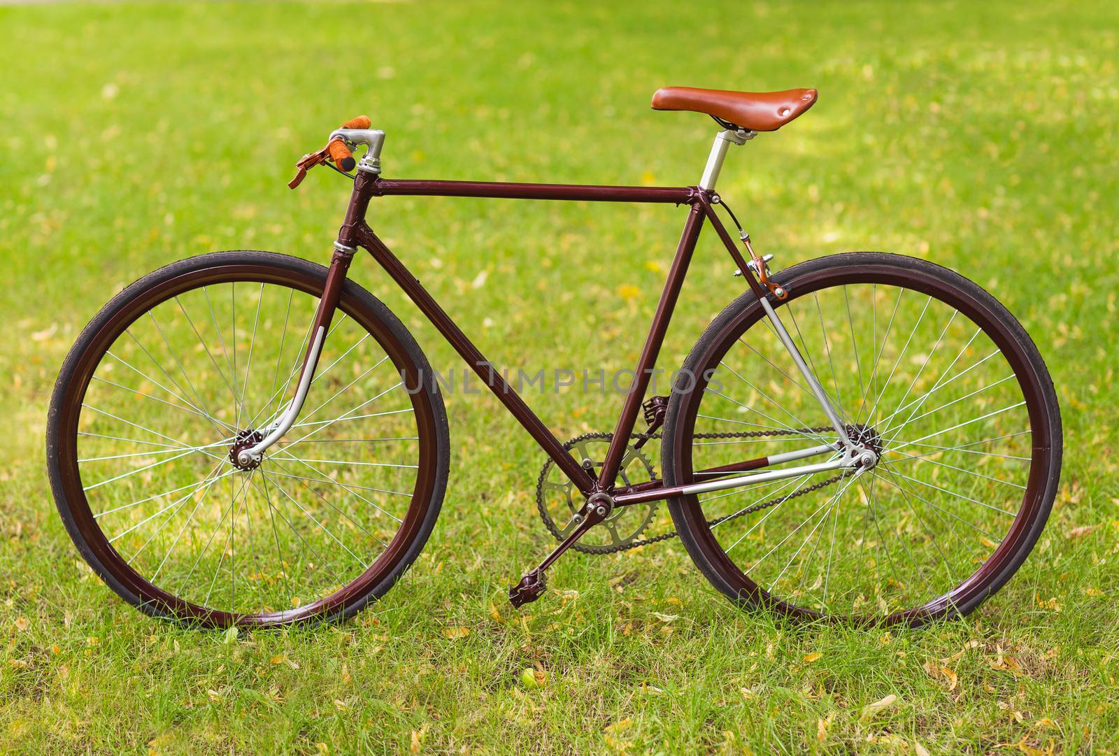 Stylish bicycle on grass by vlad_star