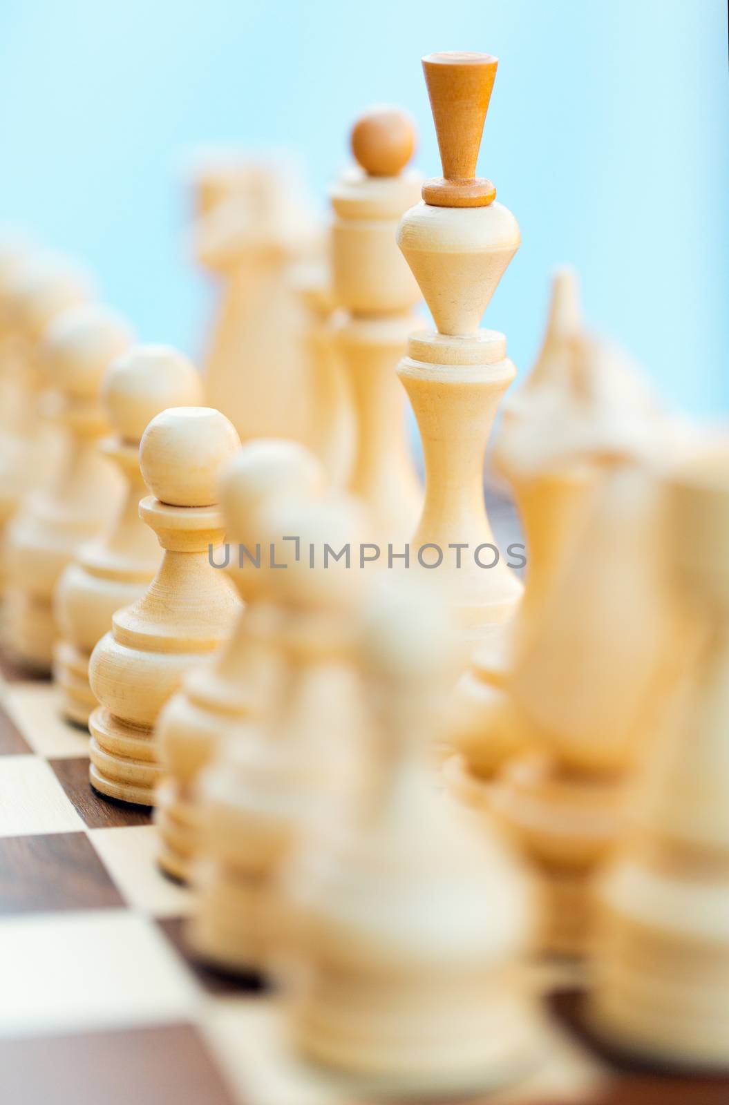 Chess pieces on the board by vlad_star