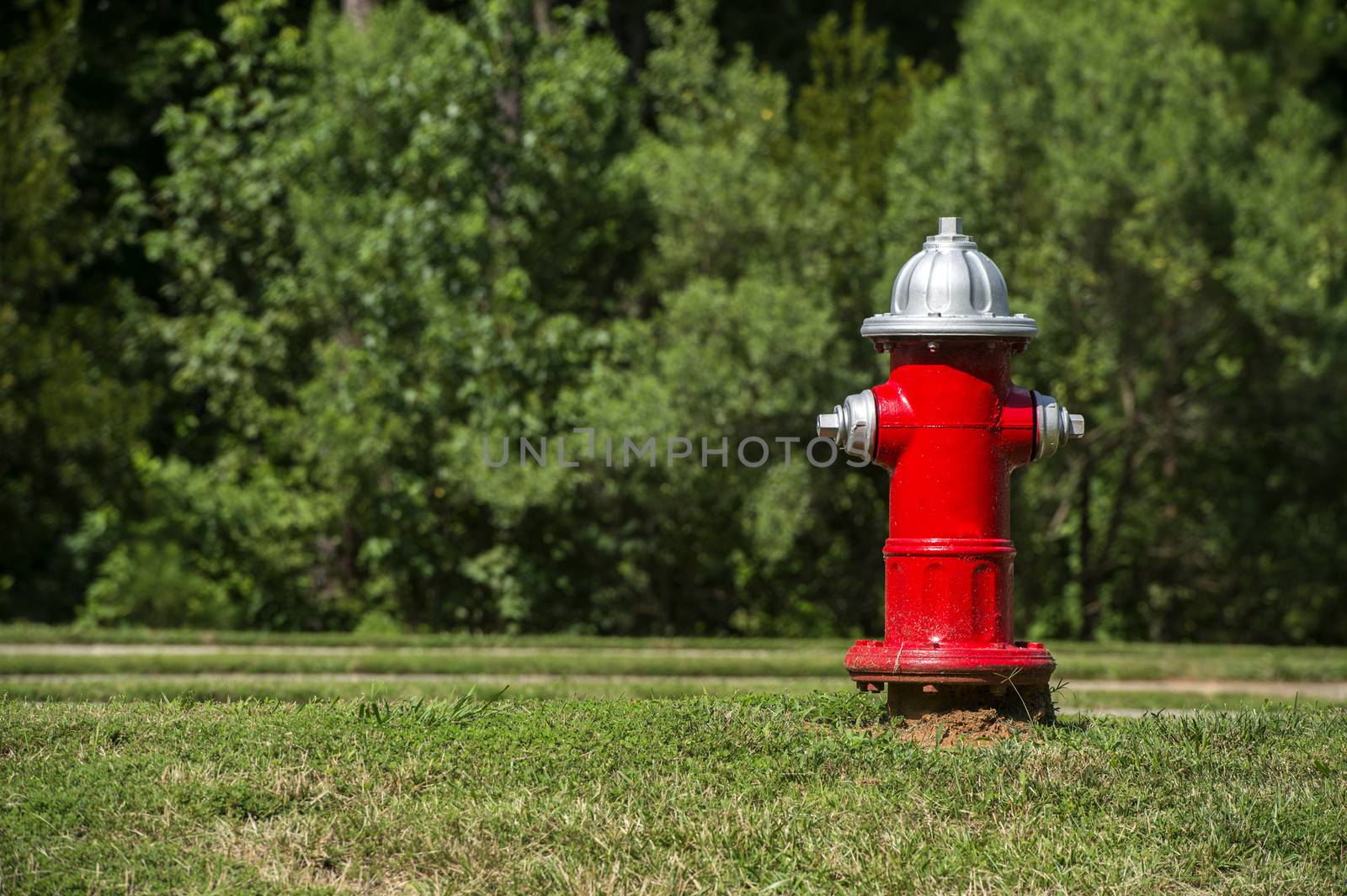 A red fire hydrant at a local park
