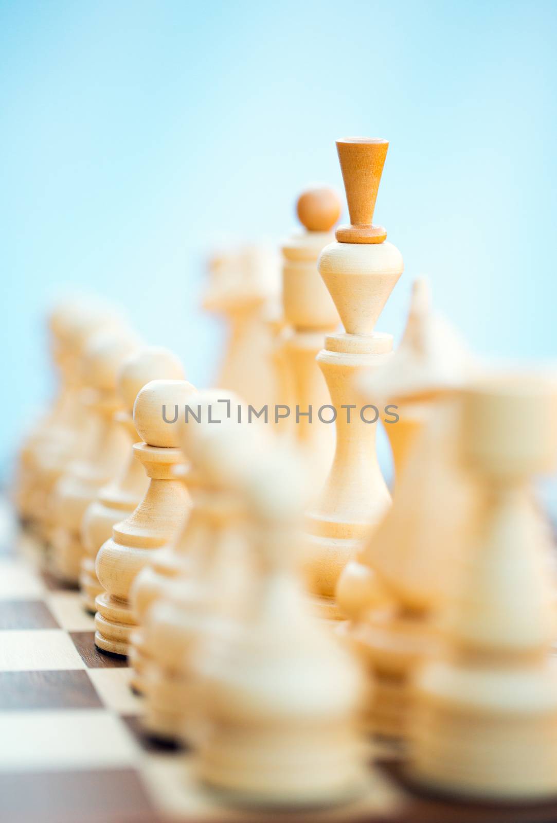 Chess pieces on the board. Focus on King