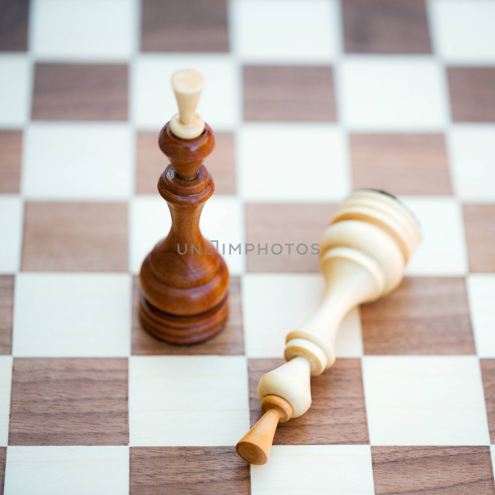 Two wooden chess pieces alone on a chess board