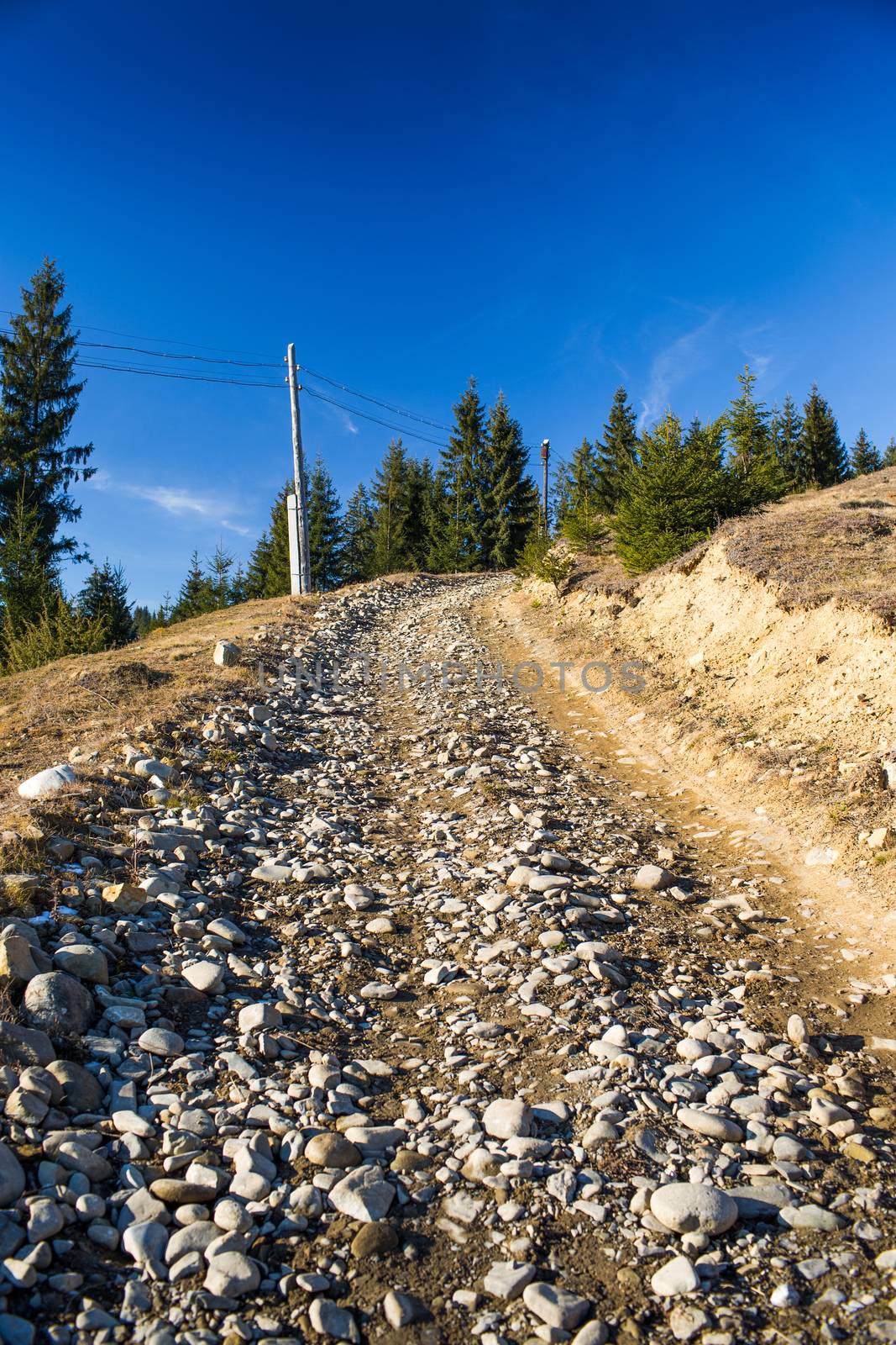 Mountain trail strewn with stones