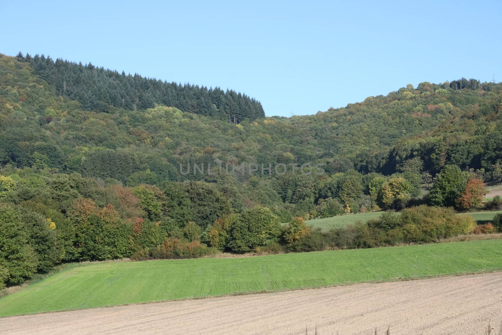 Mountains with forested mountain