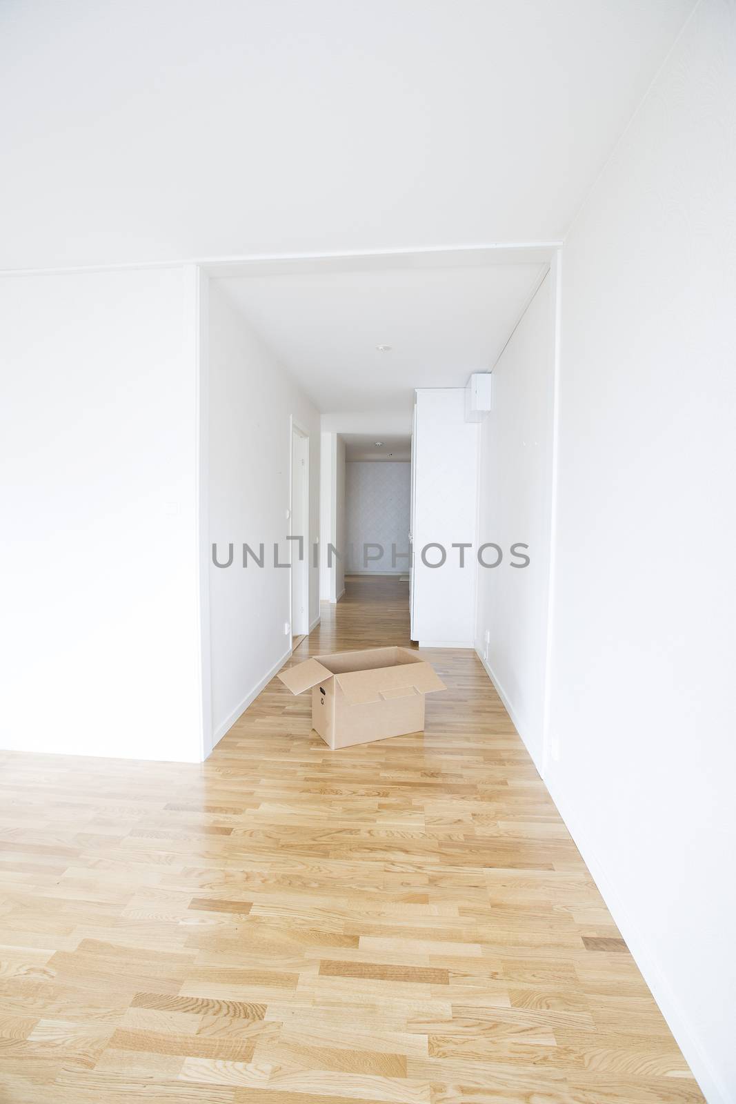 Empty room with a cardboard box by gemenacom