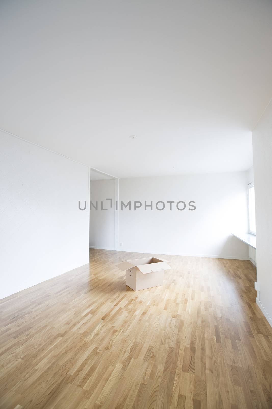 Empty room with a cardboard box in the middle