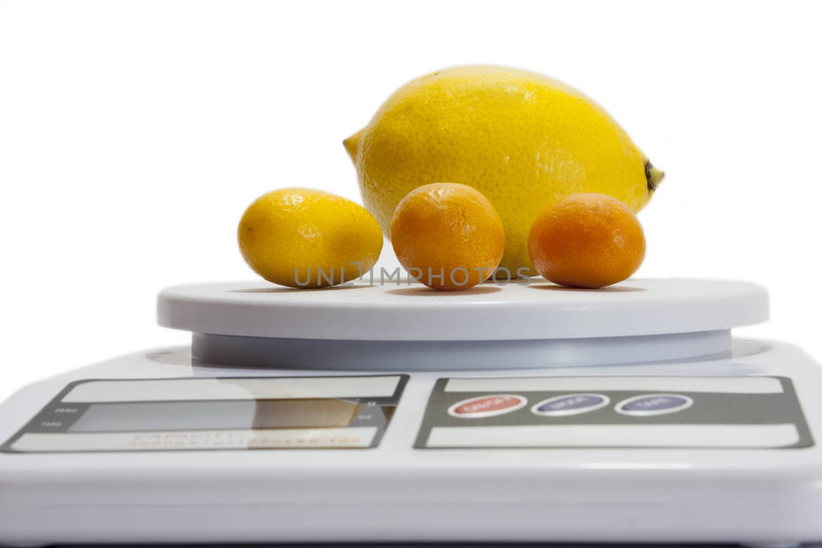 Lemon and kumquats on a kitchen digital scale.