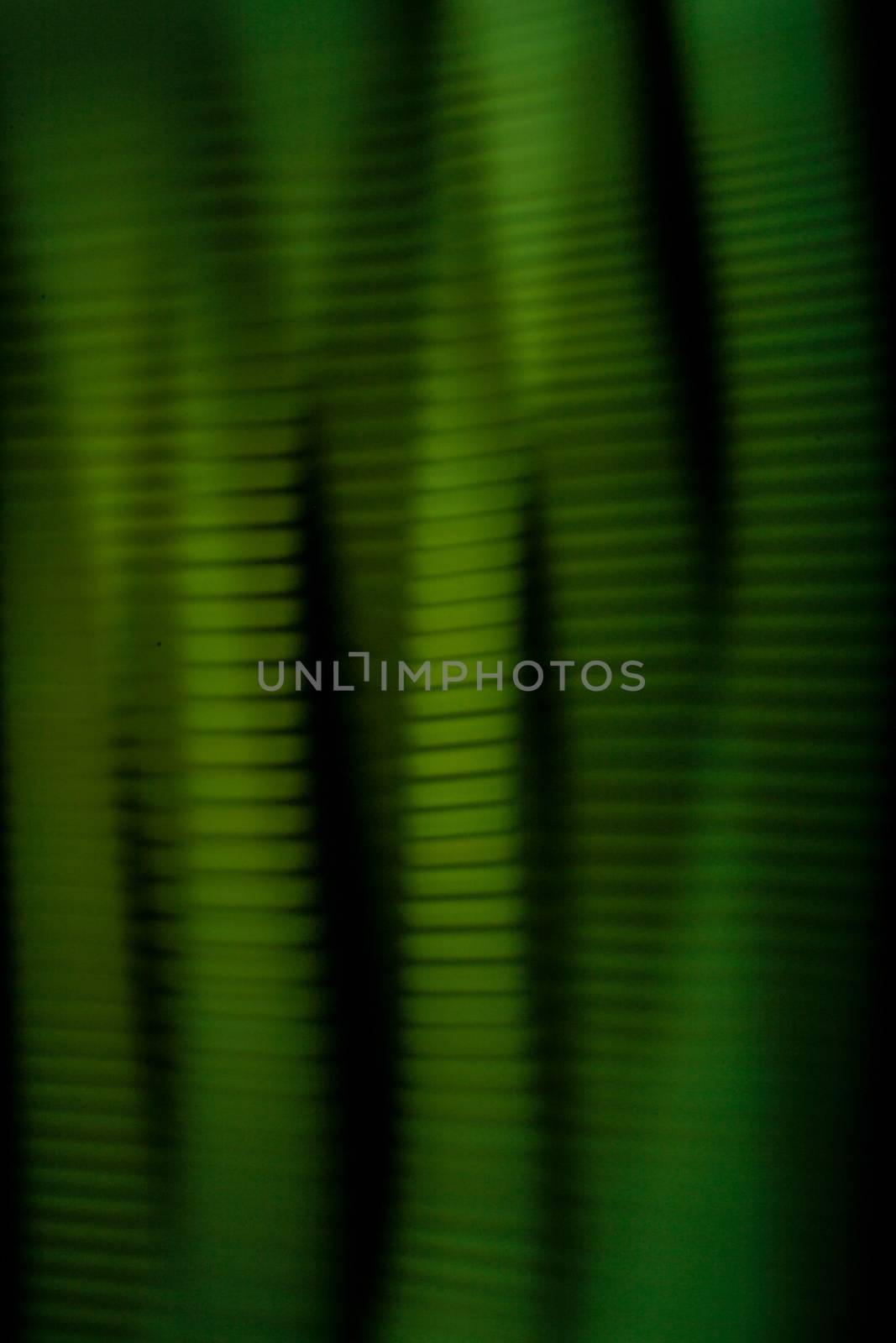 green color stripped line texture over black