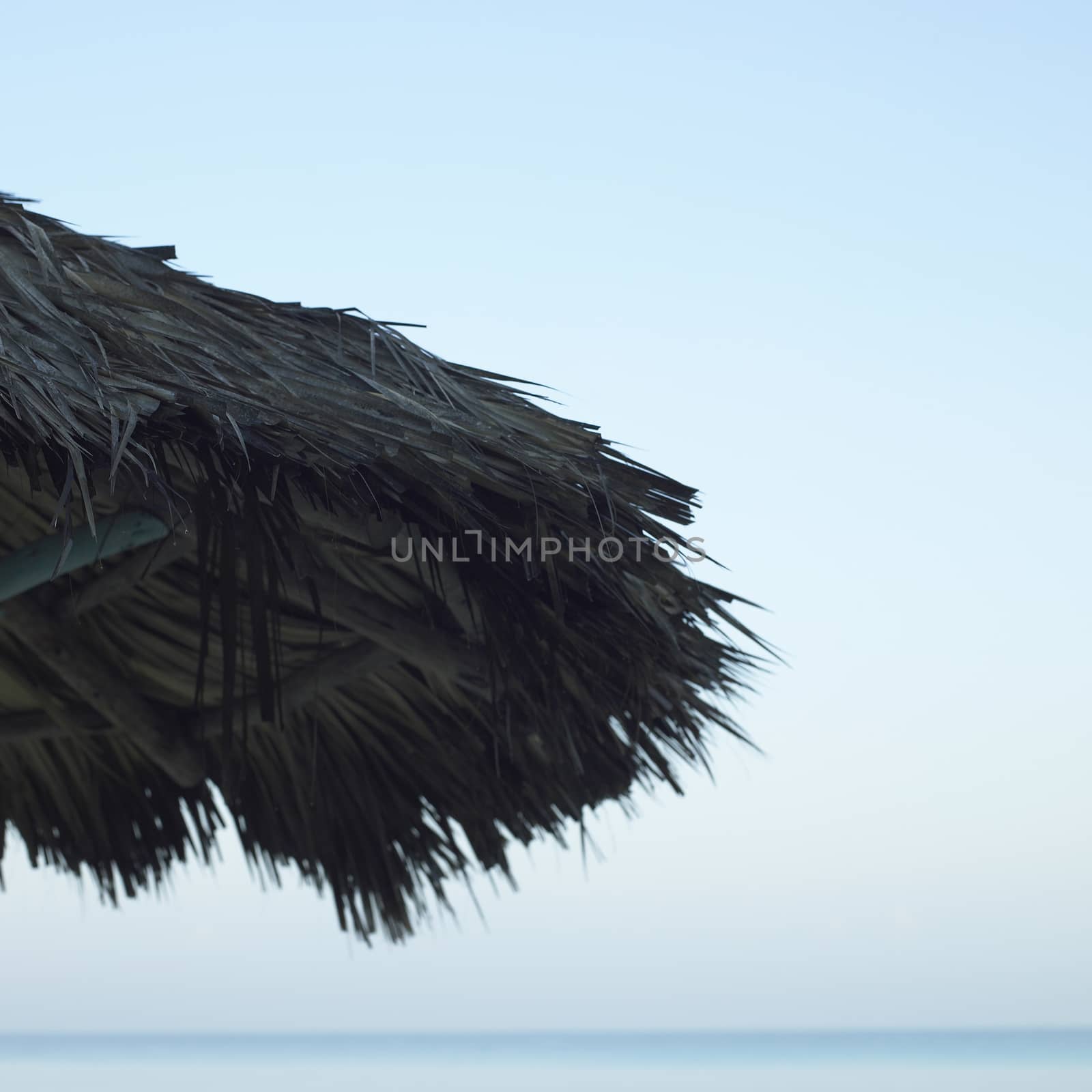 Palapa on the beach by mmm