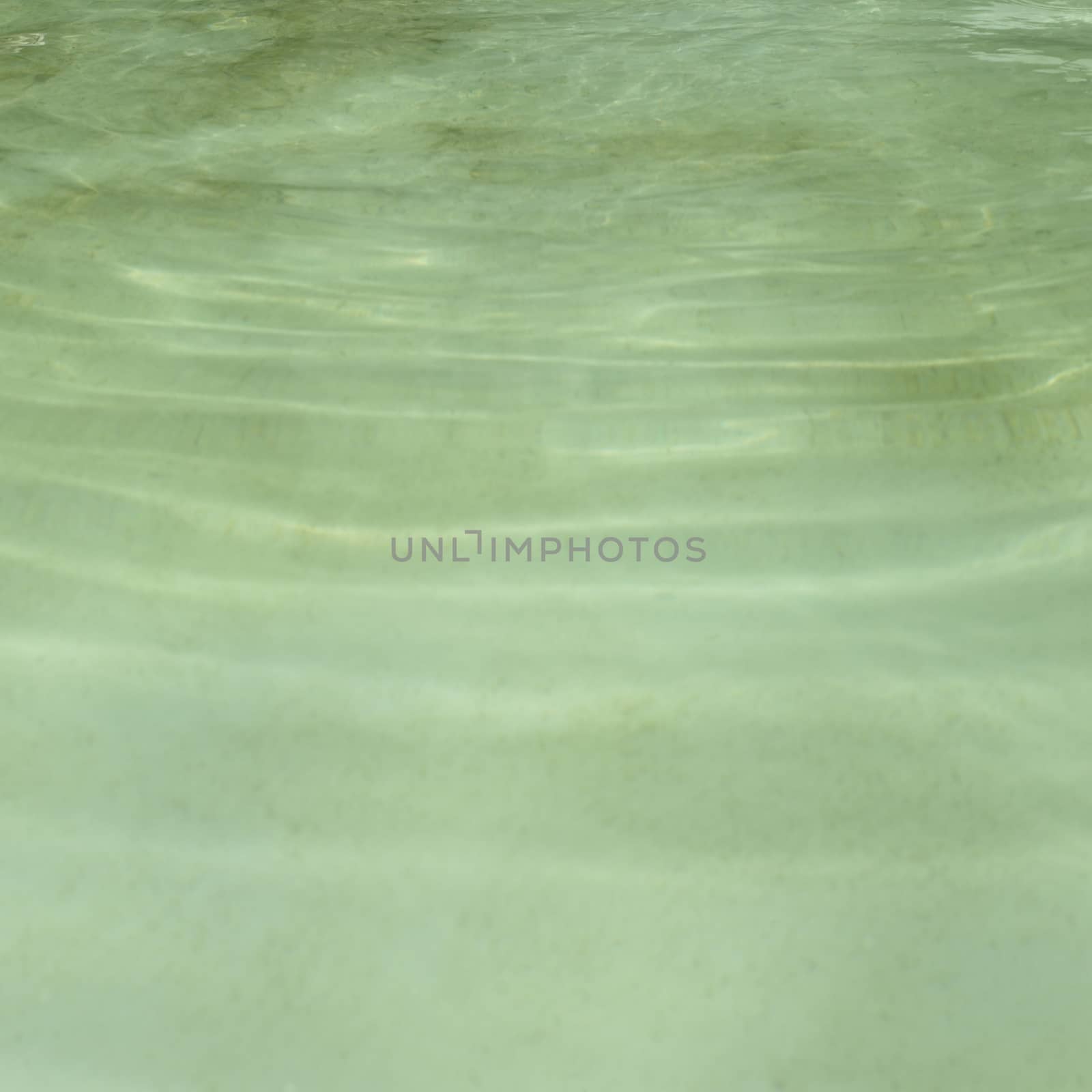 Surface of clean green water