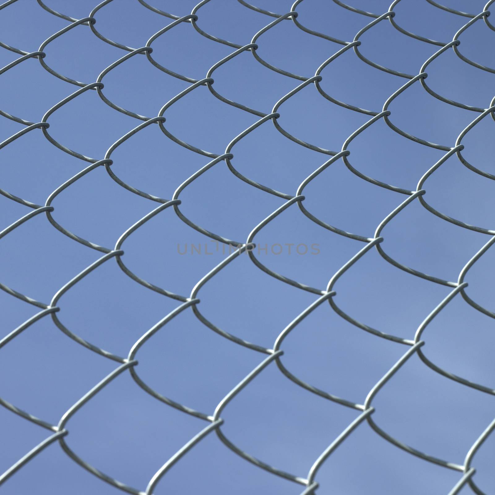 Chain link fence by mmm