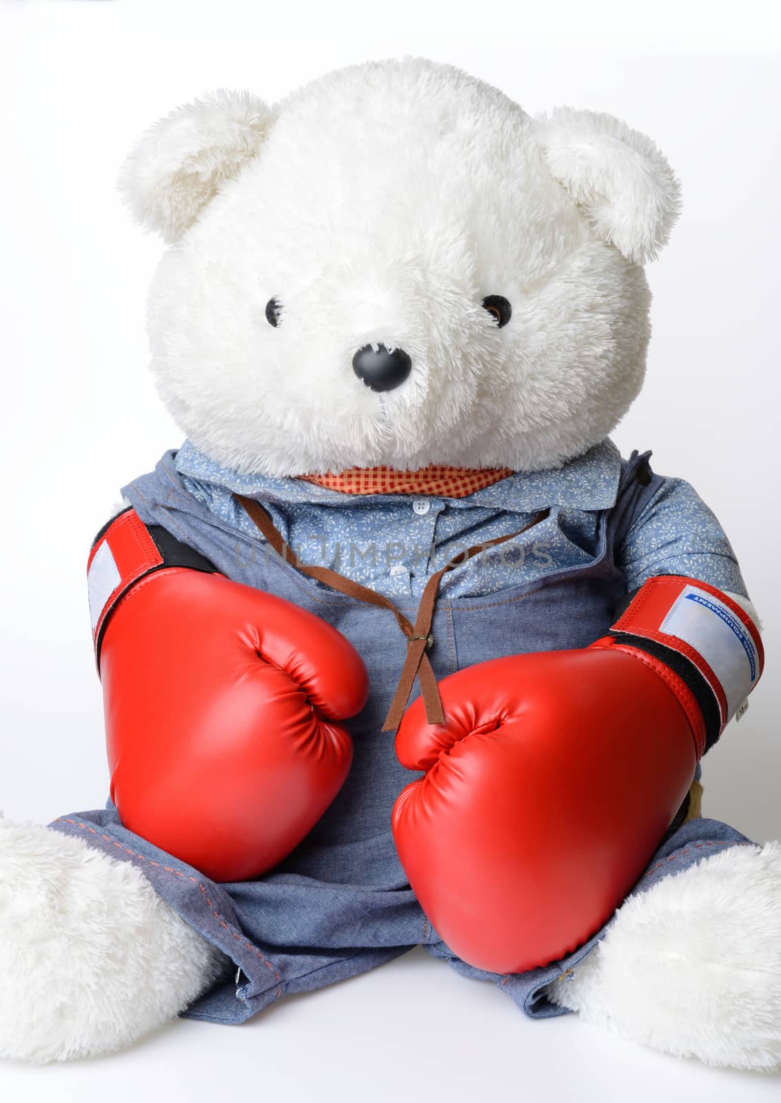 Big white Teddy Bear wear the red boxing glove