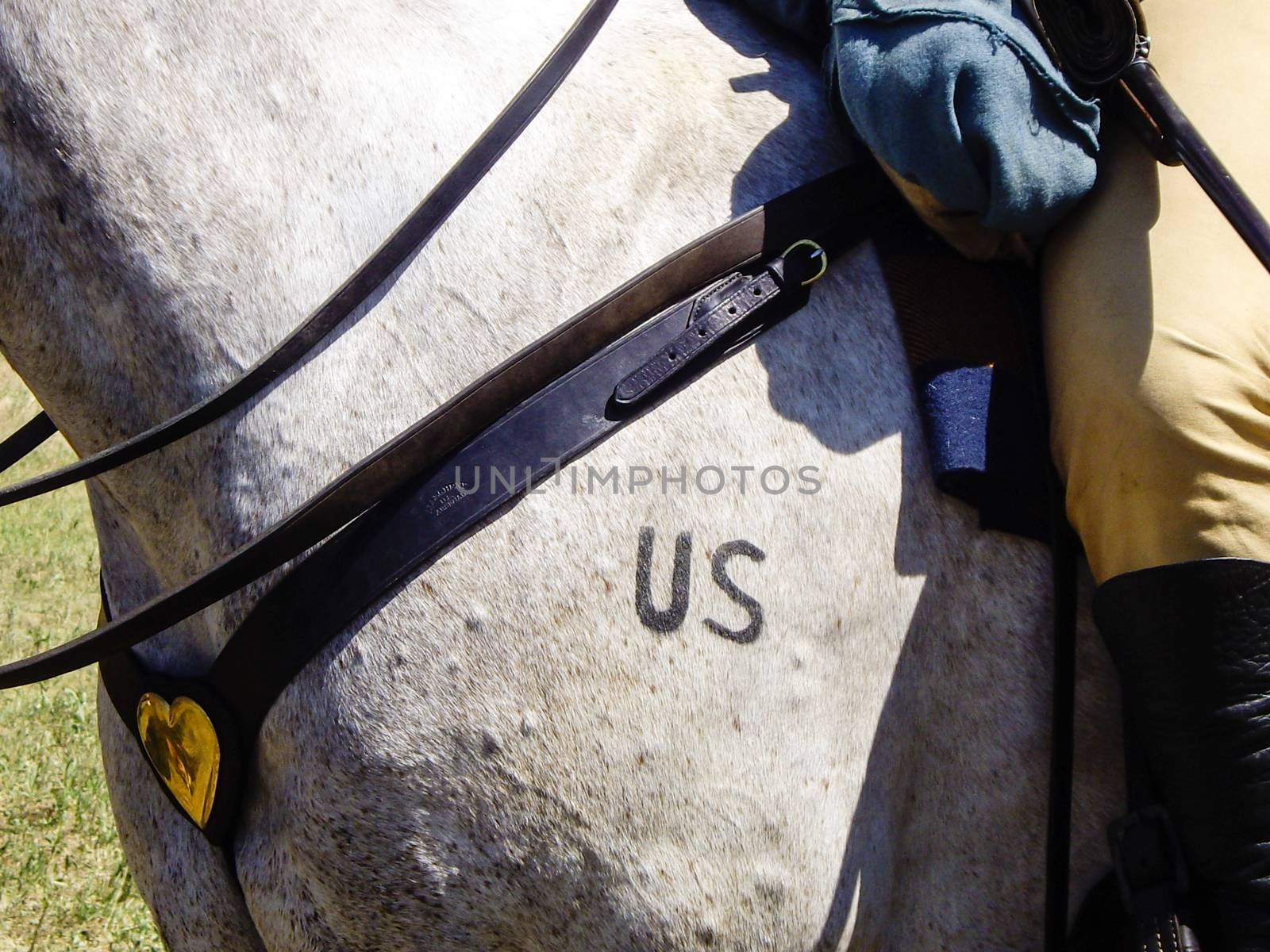 Crow Agency, Montana USA - June 27, 2009: Reenactment of the Battle of the Little Bighorn known as Custer's Last Stand. U.S. 7th Cavalry soldiers on horseback in battle with Arapahoe, Cheyenne and Lakota Indians.