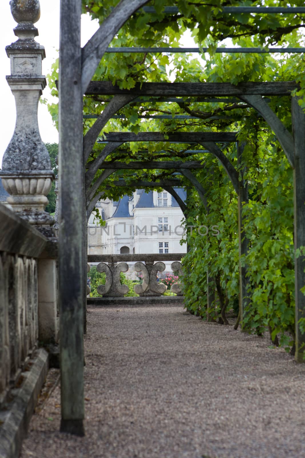 Gardens and Chateau de Villandry  in  Loire Valley in France 