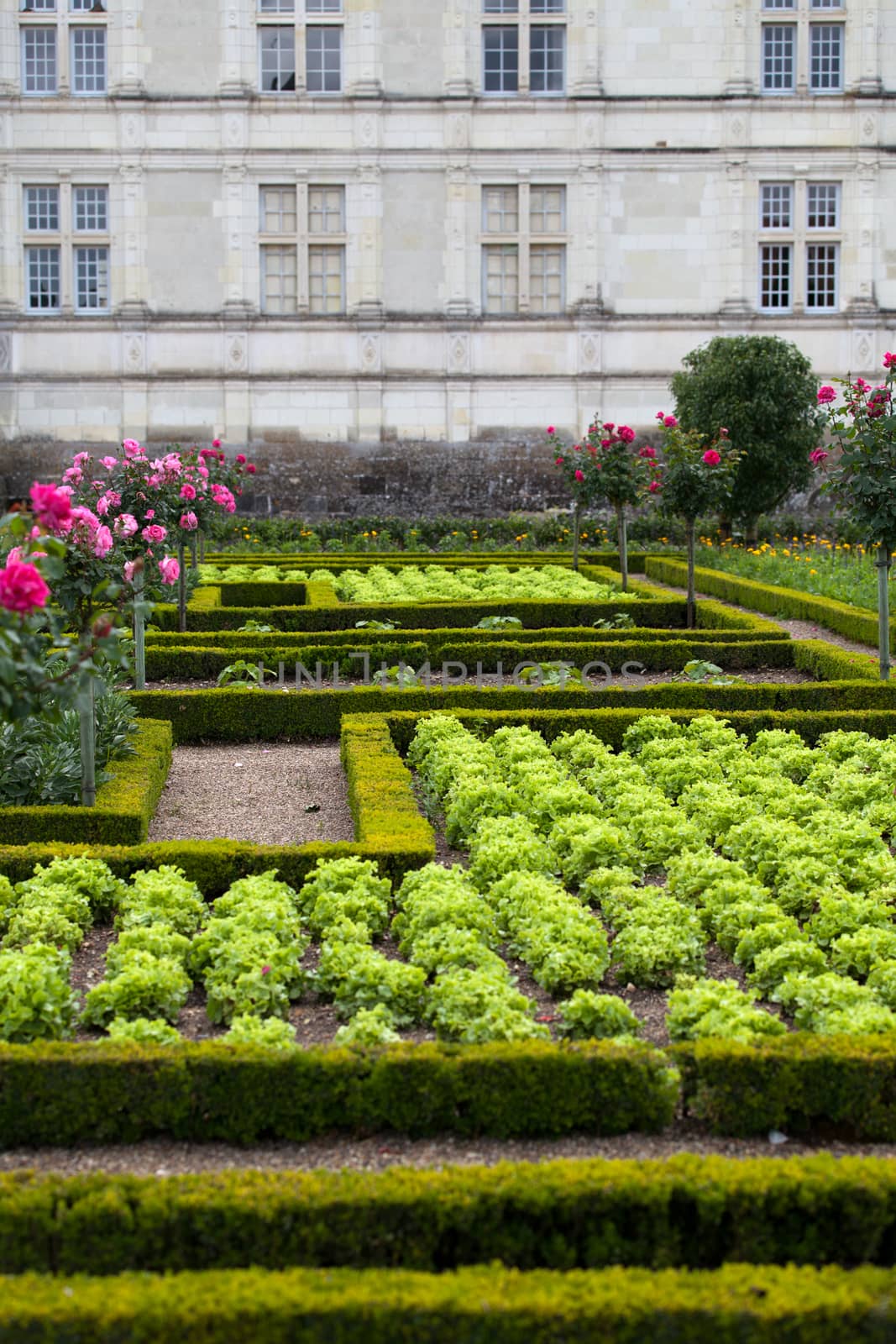 Gardens and Chateau de Villandry  in  Loire Valley in France 