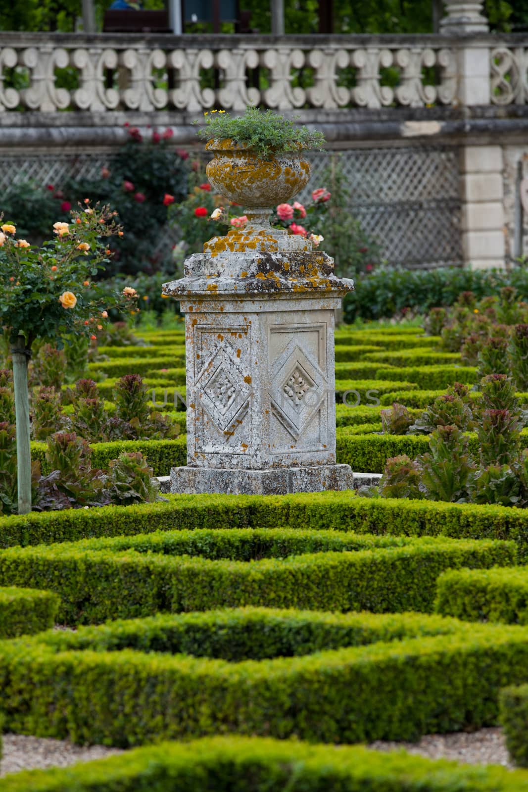 Kitchen garden in  Chateau de Villandry. Loire Valley, France 