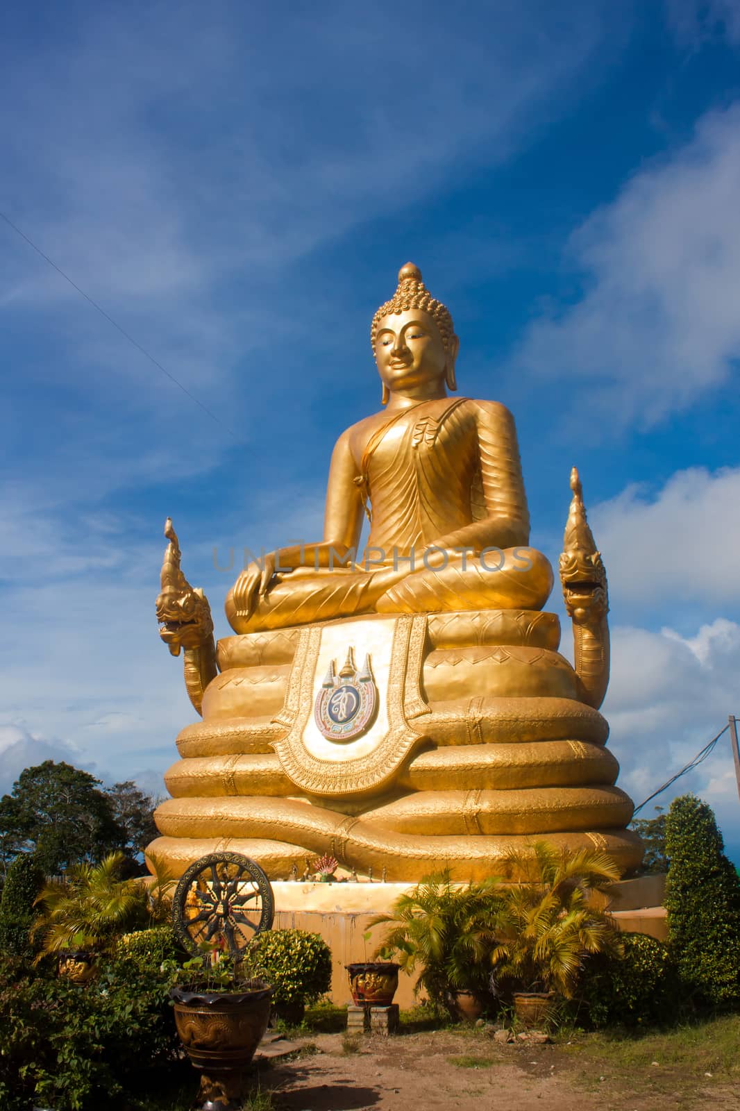 Buddha on the island Phuket, Thailand by sateda