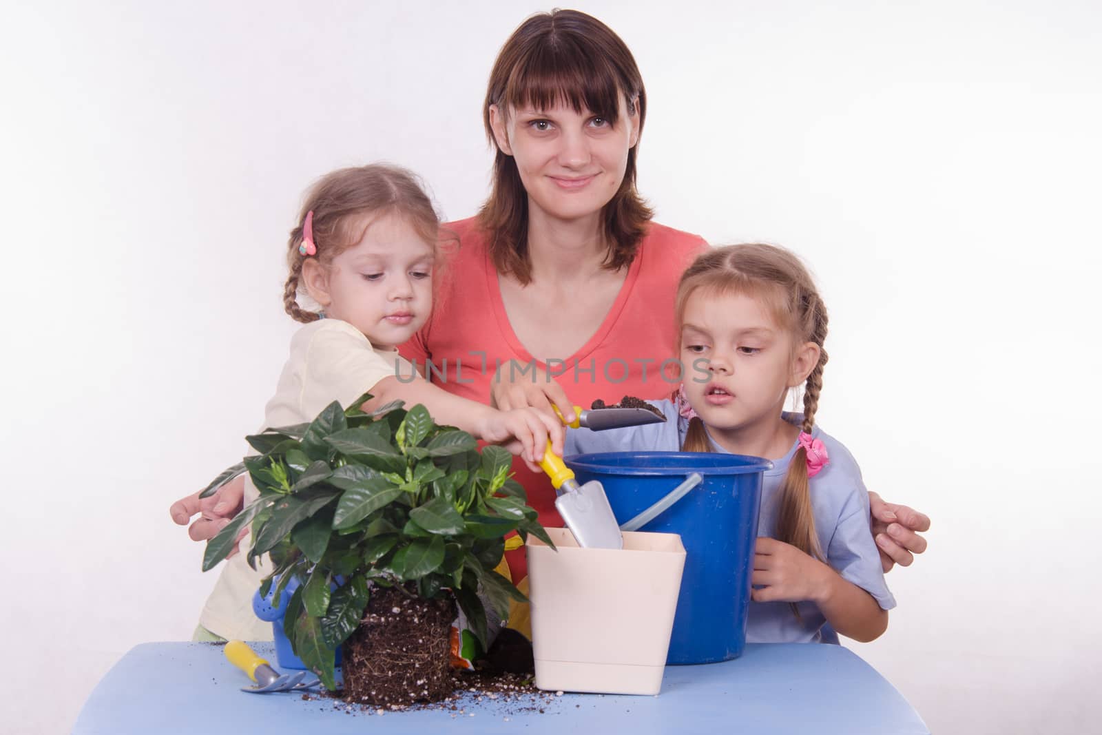 Mom and daughter five-year houseplant transplanted from one pot to another