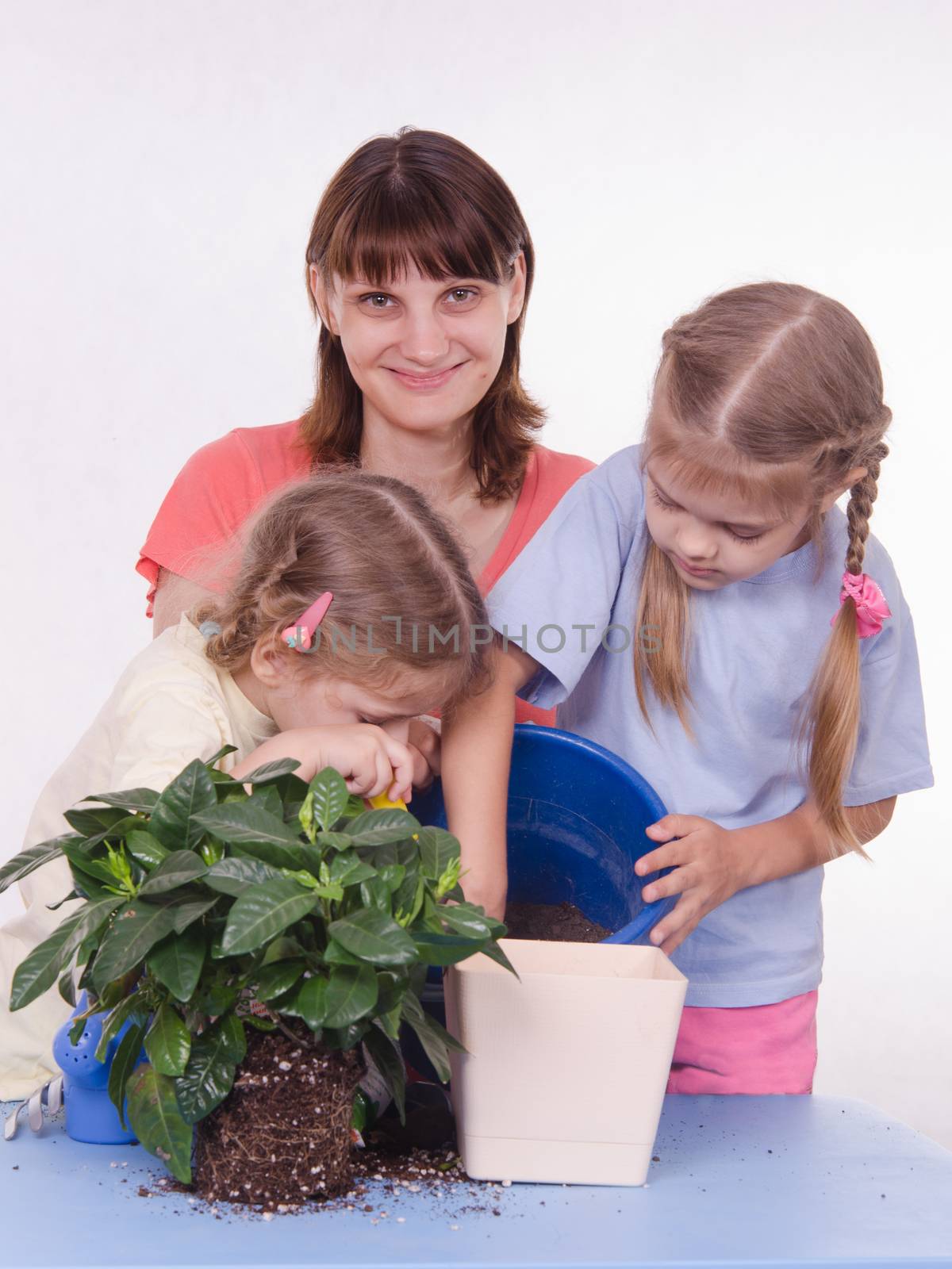 Mom and two daughters poured earth into a pot by Madhourse
