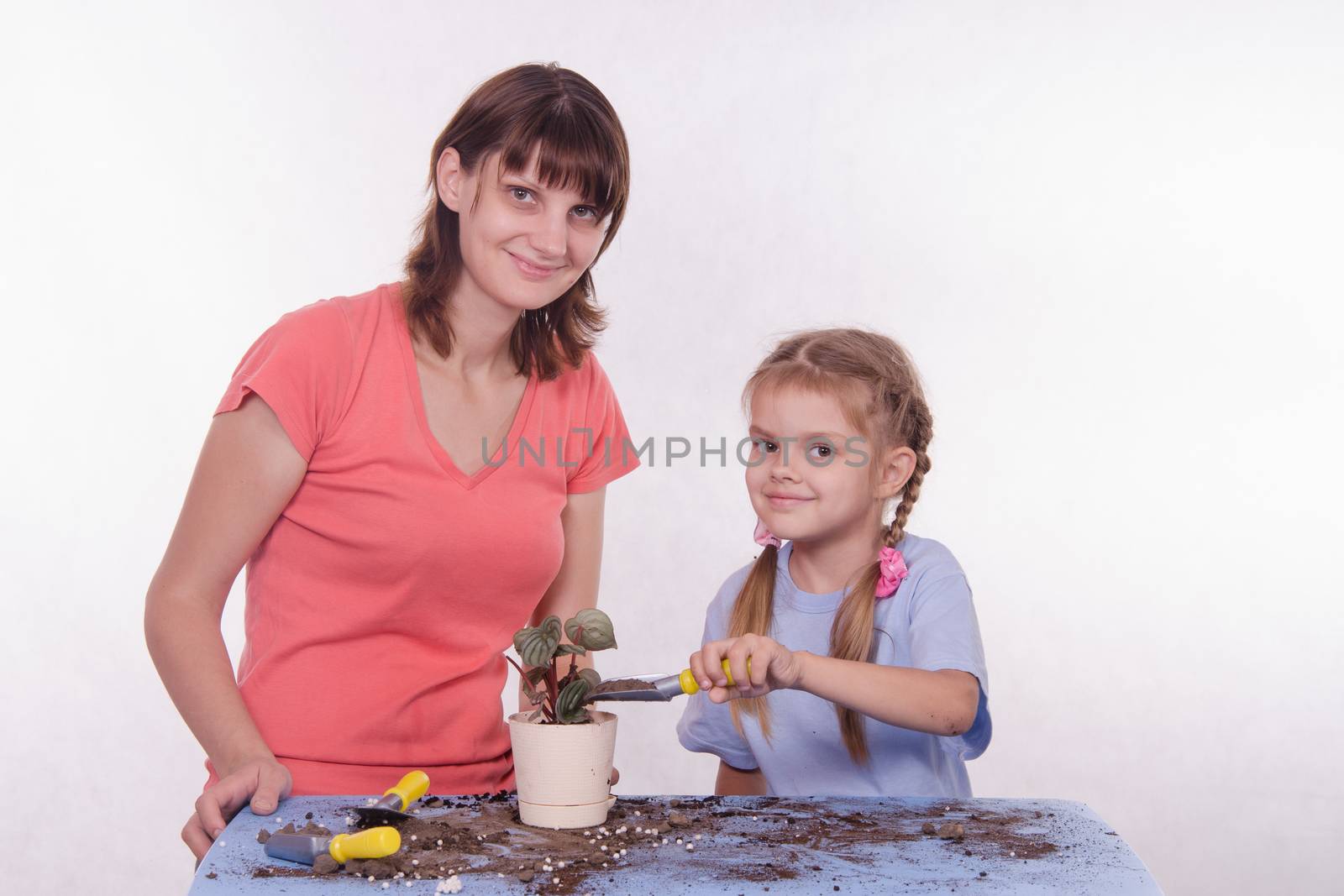 Daughter pours ground in a pot with potted flower by Madhourse