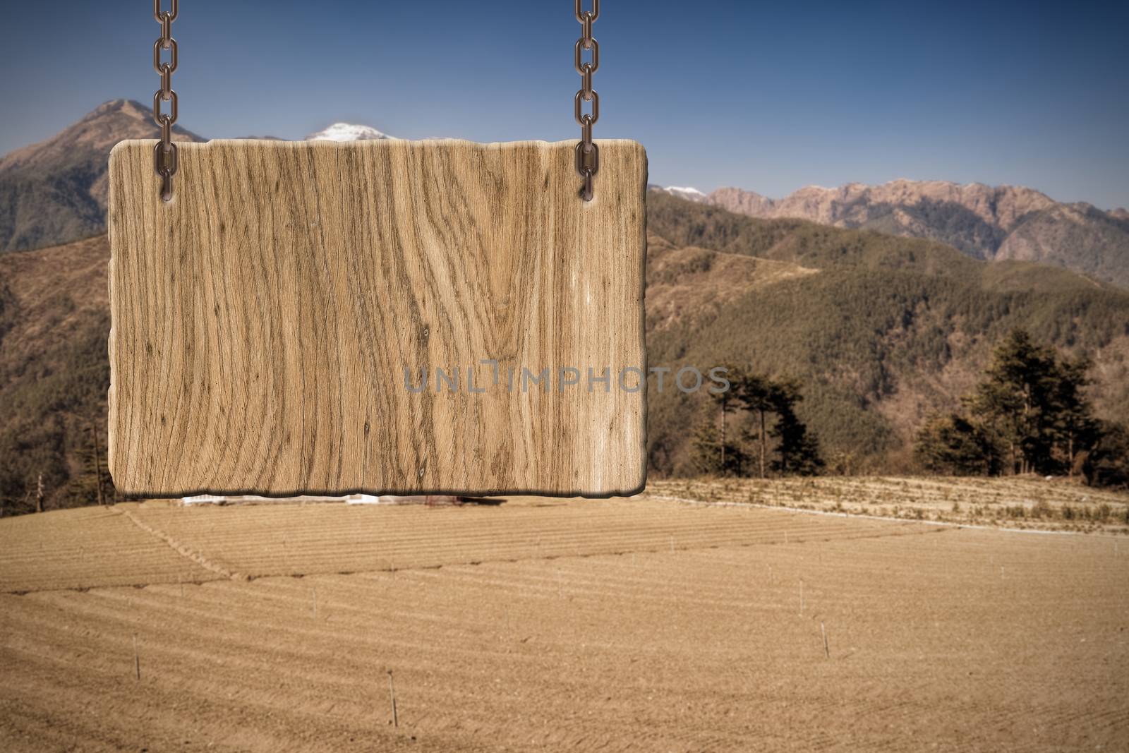 Blank wooden sign on field of farm. Concept of rural, idyllic, tranquility etc.