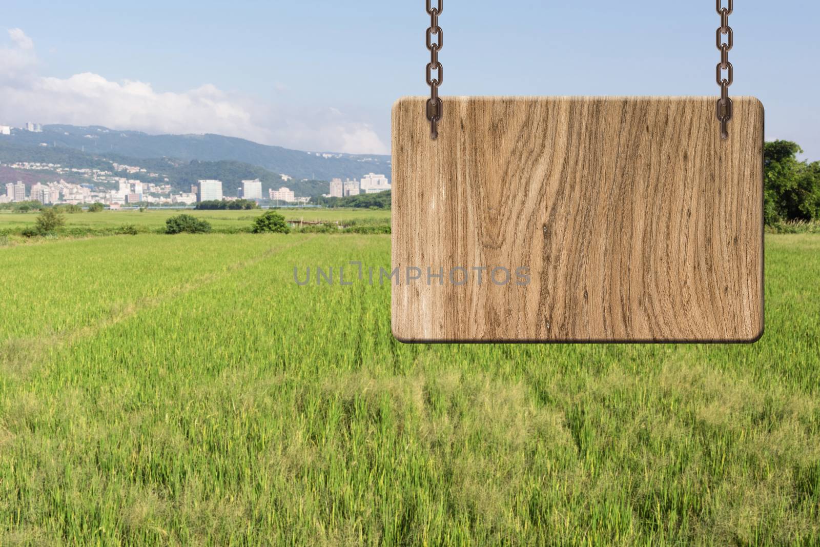 Blank wooden sign on field of farm. Concept of rural, idyllic, tranquility etc.