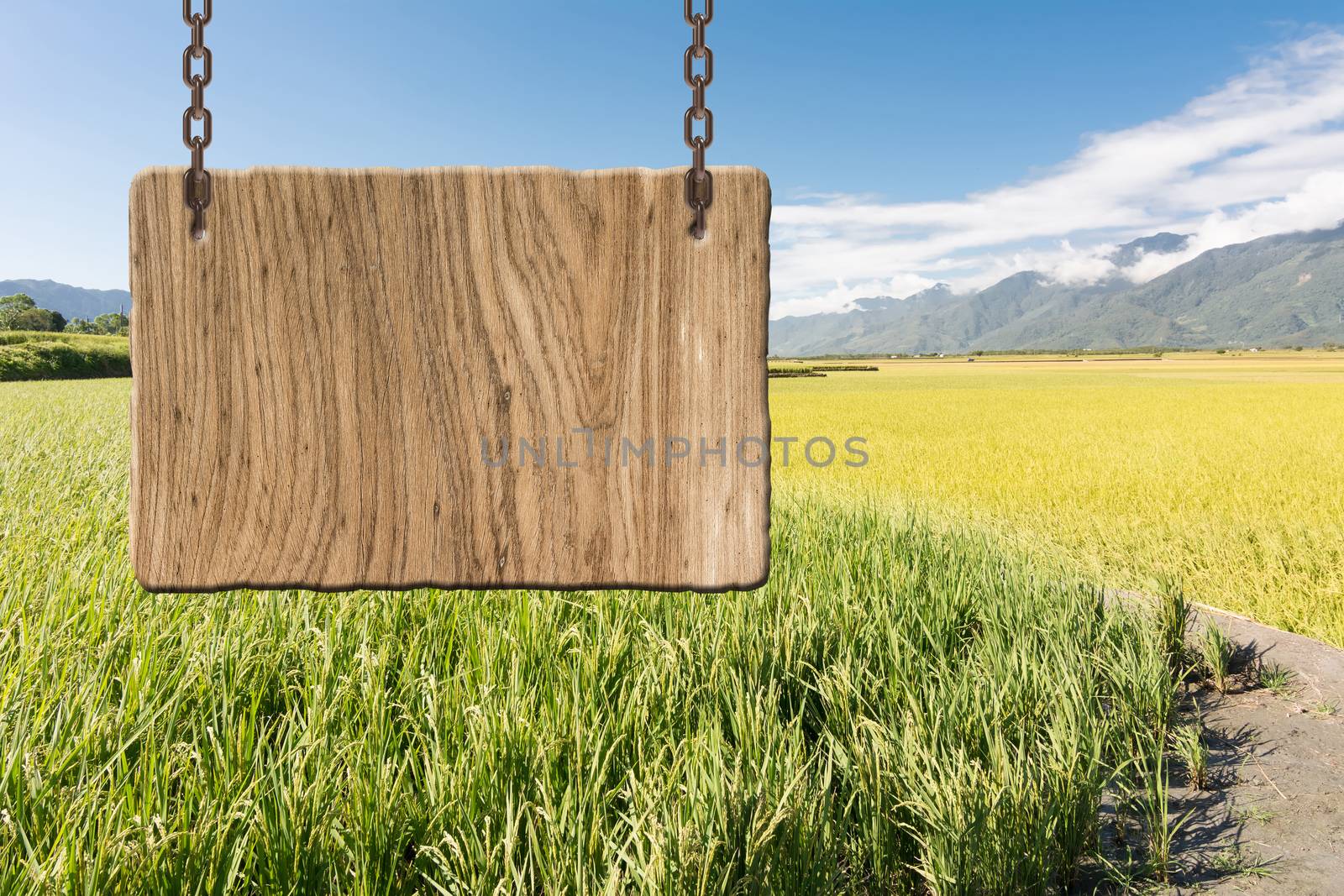 Blank wooden sign by elwynn