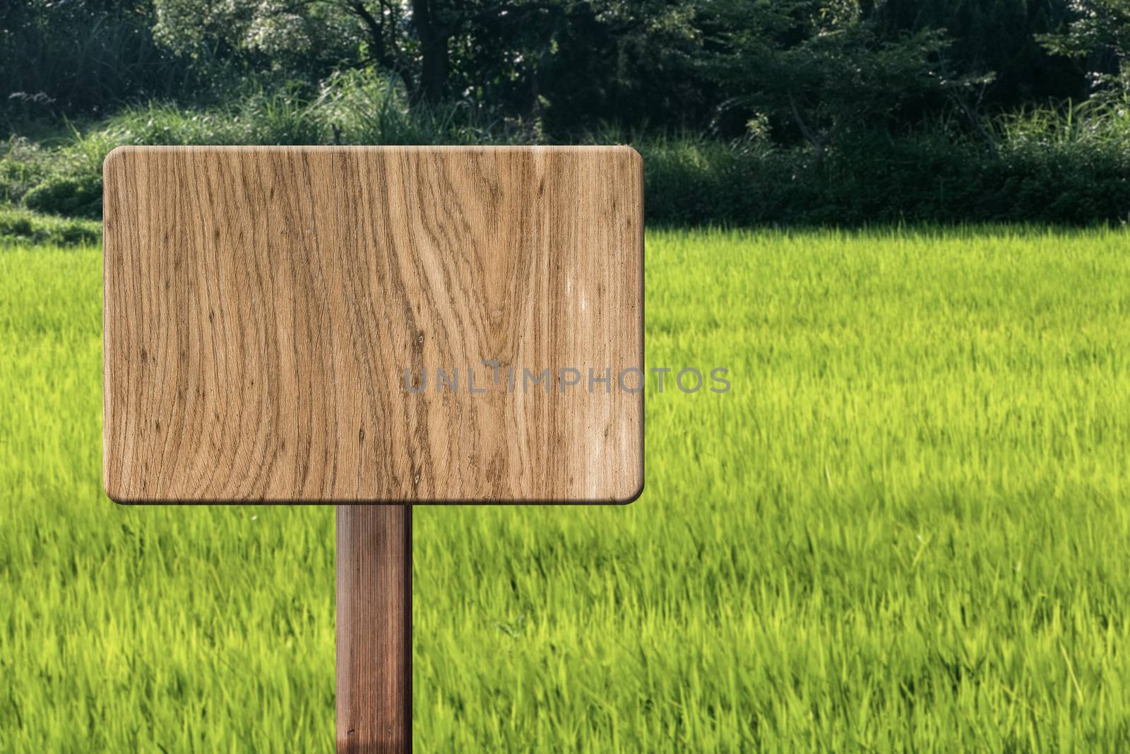 Blank wooden sign by elwynn