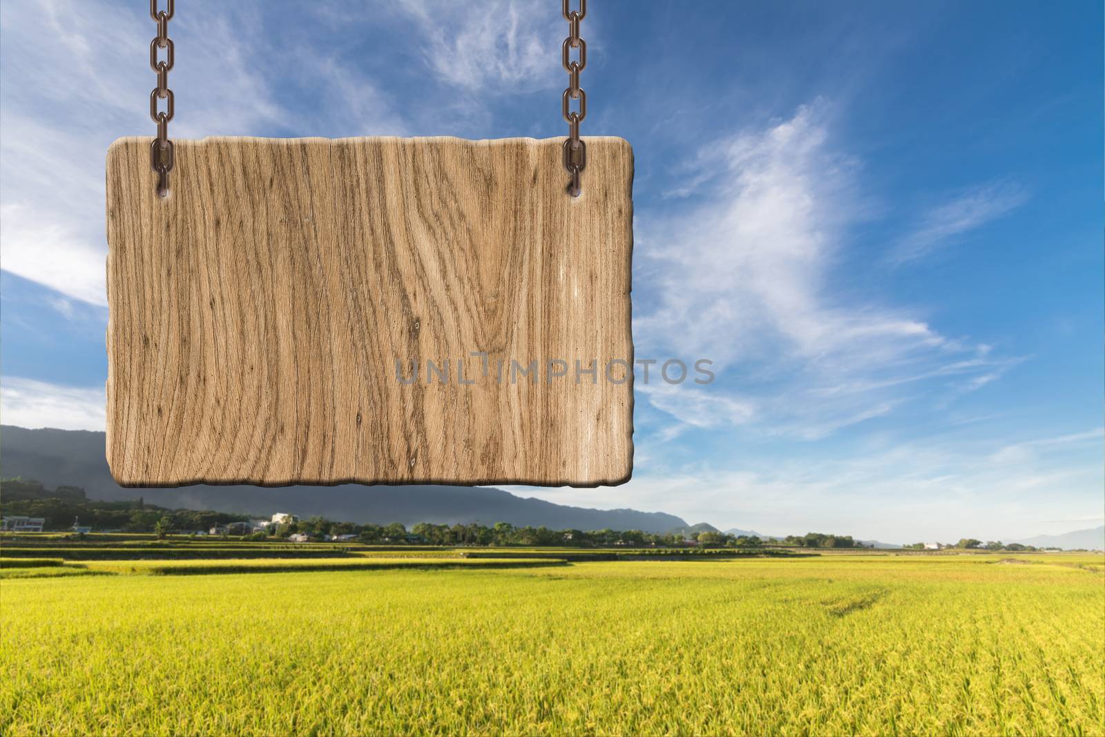 Blank wooden sign by elwynn
