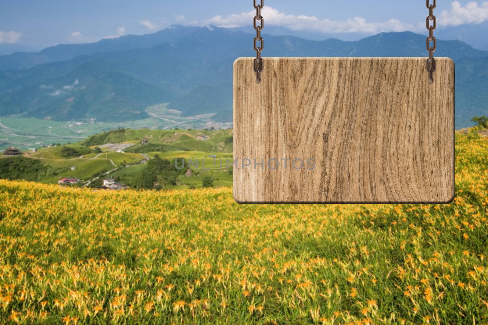 Blank wooden sign on field of farm. Concept of rural, idyllic, tranquility etc.