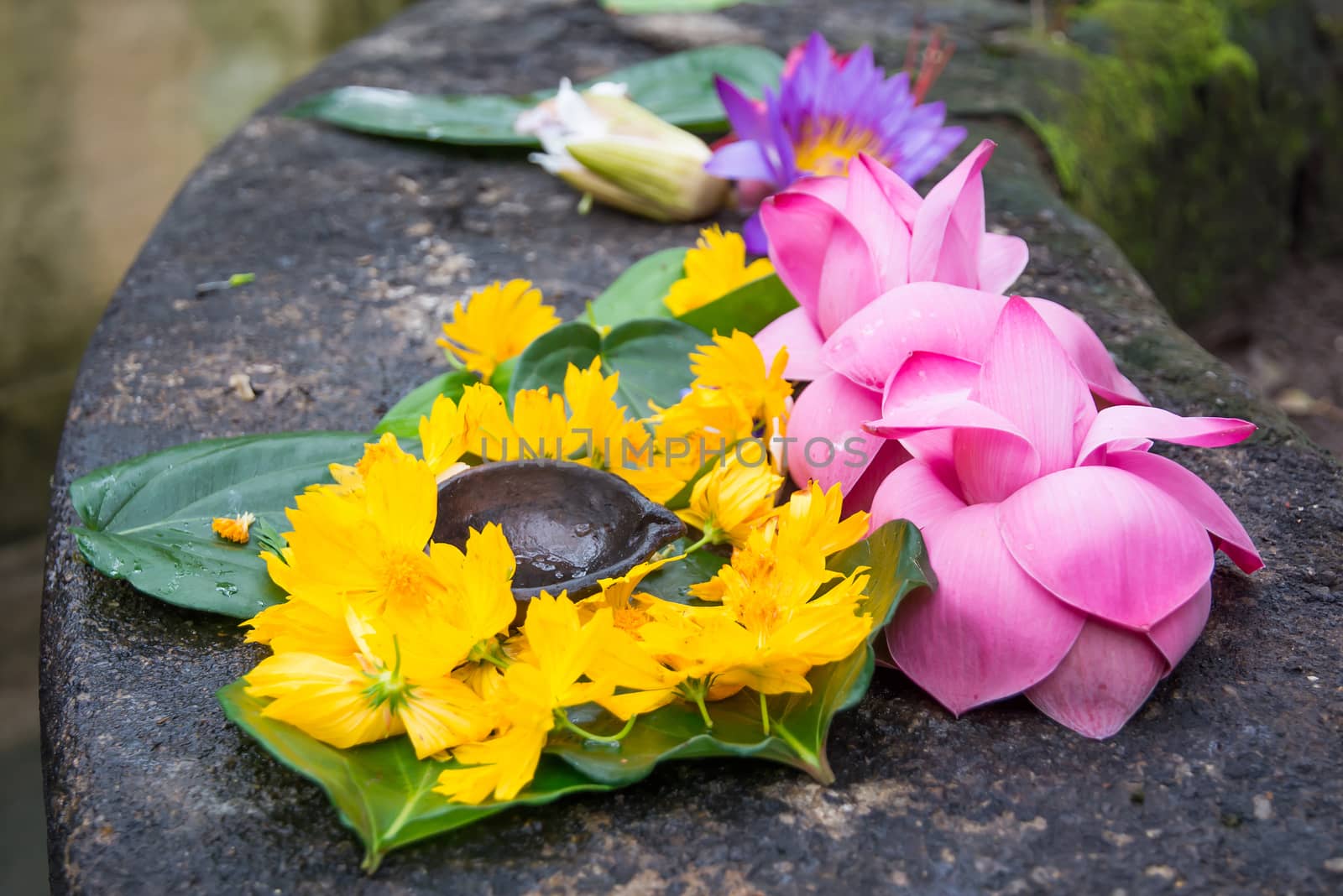 Ceremonial flowers and oil burning arrangement, Sri Lanka, Asia.