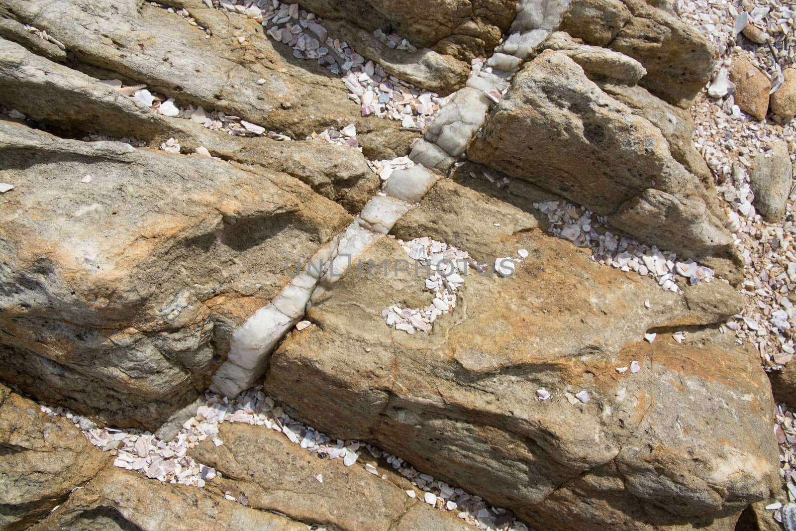 Calcite vein in rock at Rocky Point, Tangalle, Southern Province, Sri Lanka, Asia.