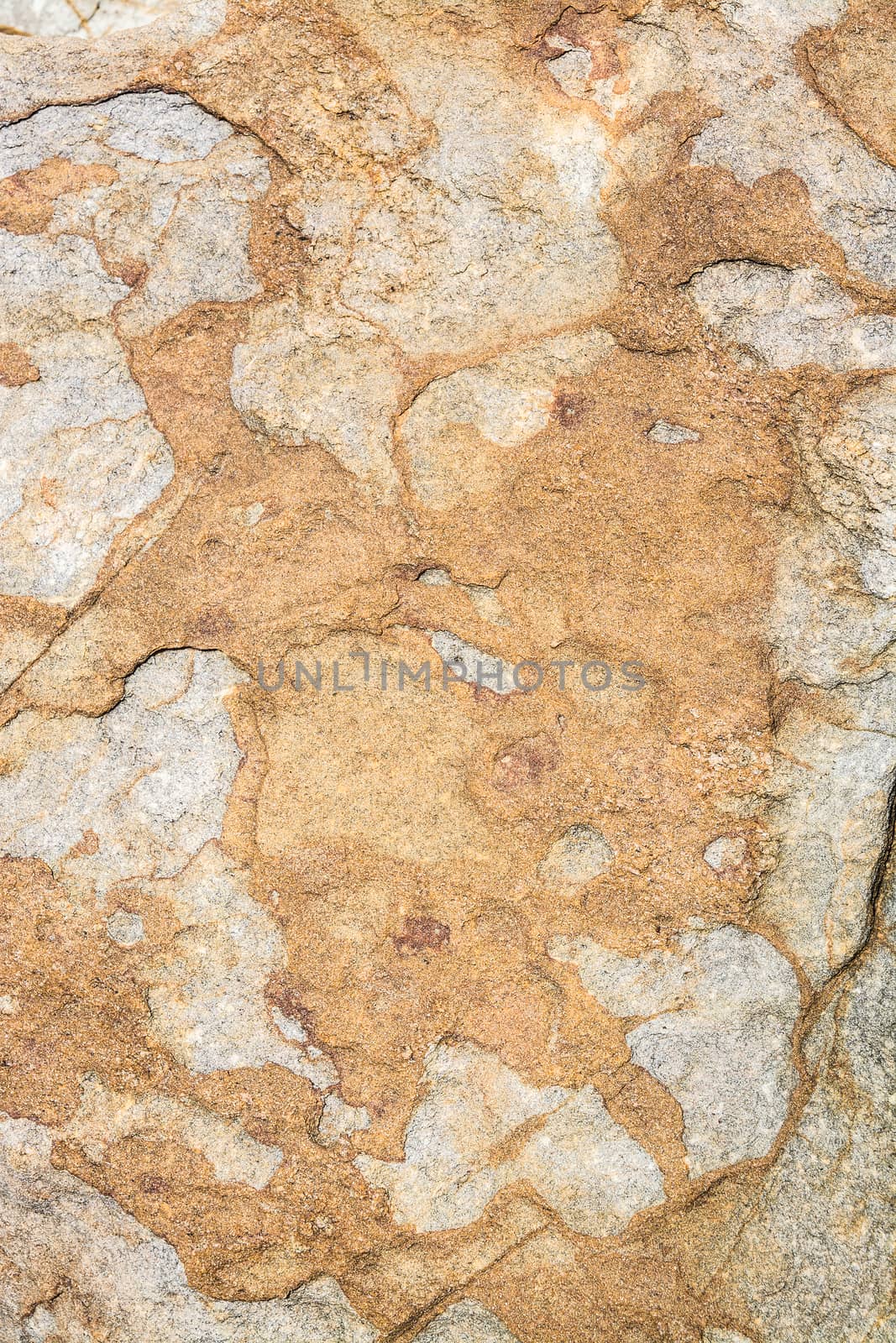 Rock background texture. Metamorphic rock with interesting natural pattern, Southern Province, Sri Lanka, Asia.