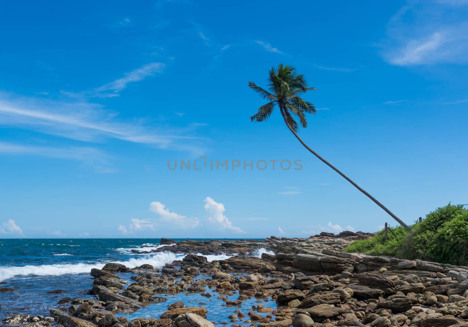 Tropical rocky beach with coconut palm tree. Rocky Point, Tangalle, Southern Province, Sri Lanka, Asia.