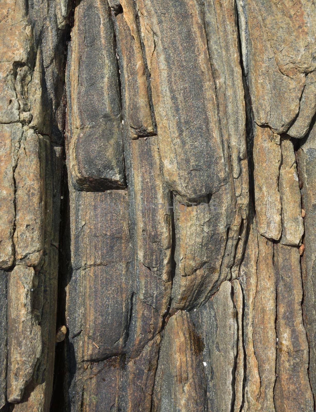 Vertical rock background, Southern Province, Sri Lanka, Asia.