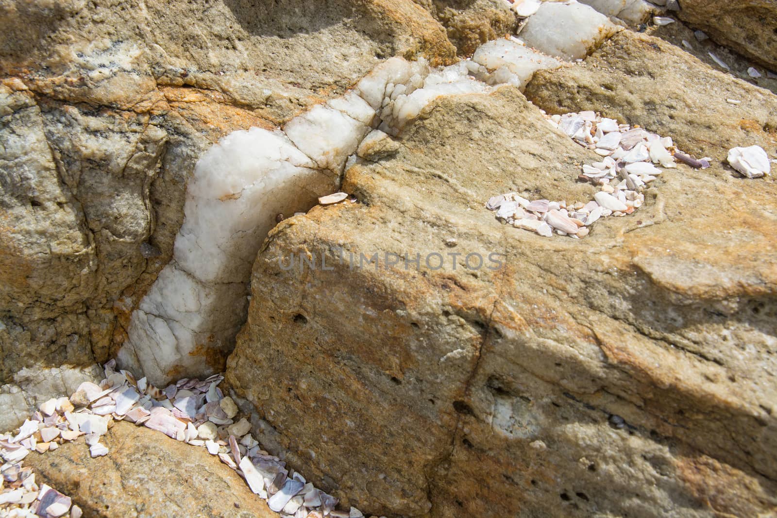 Calcite vein in rock at Rocky Point, Tangalle, Southern Province, Sri Lanka, Asia.