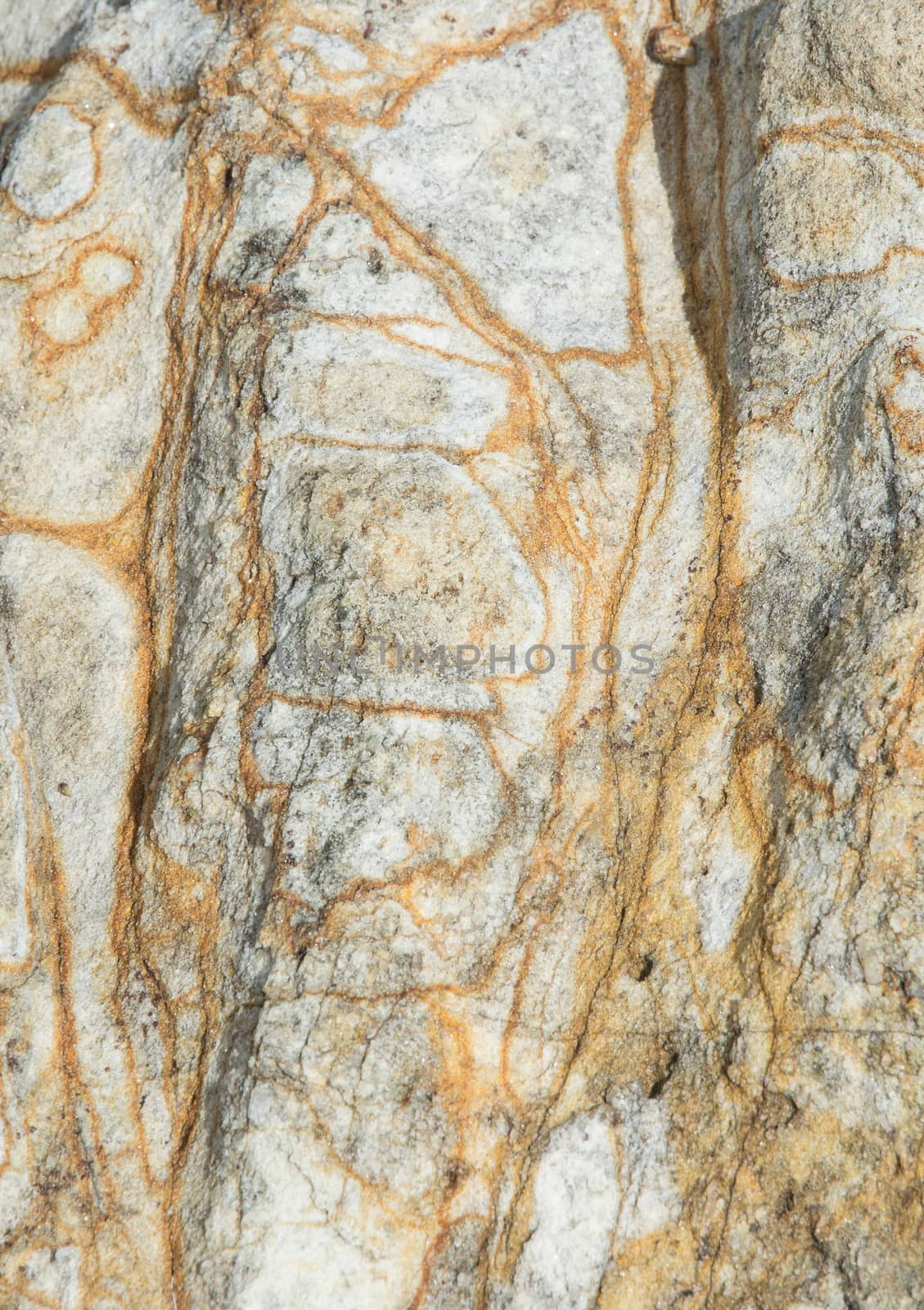 Rock background texture. Metamorphic rock with interesting natural pattern, Southern Province, Sri Lanka, Asia.