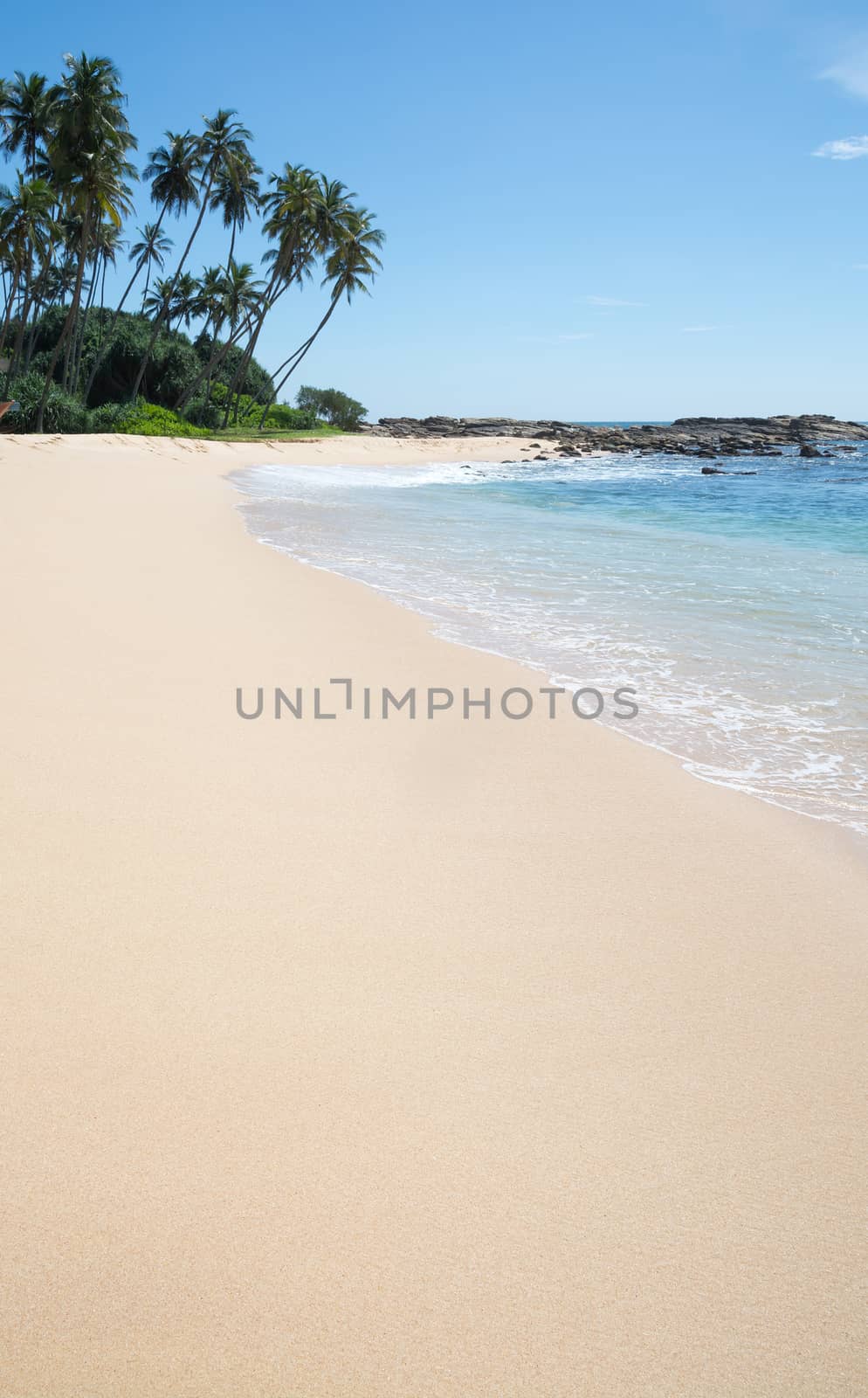 Paradise beach. Beach with fine white sand, coconut palm trees. Southern Province, Sri Lanka, Asia.