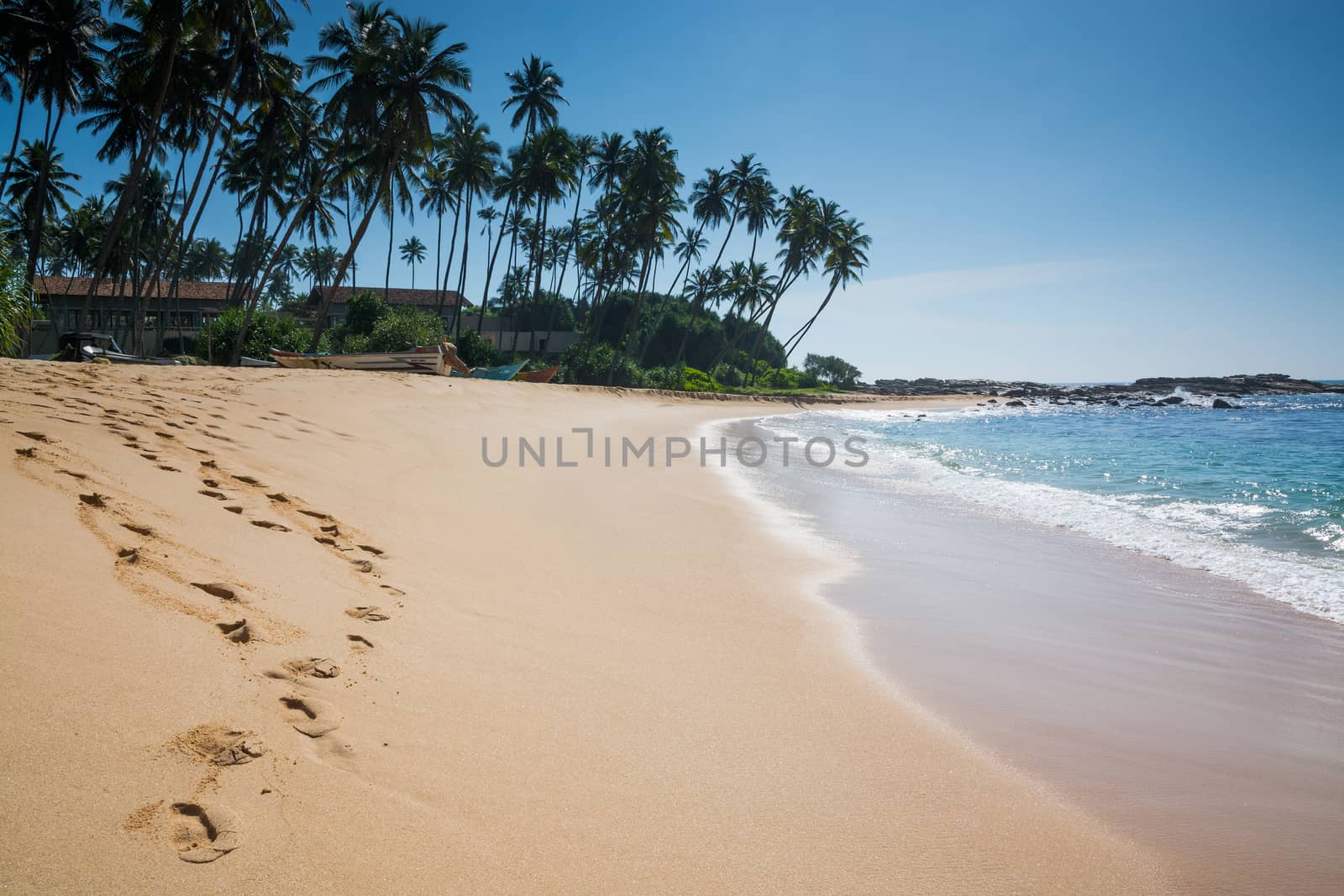 Paradise beach with coconut trees and footprints in golden sand, Tangalle, Southern Province, Sri Lanka, Asia.