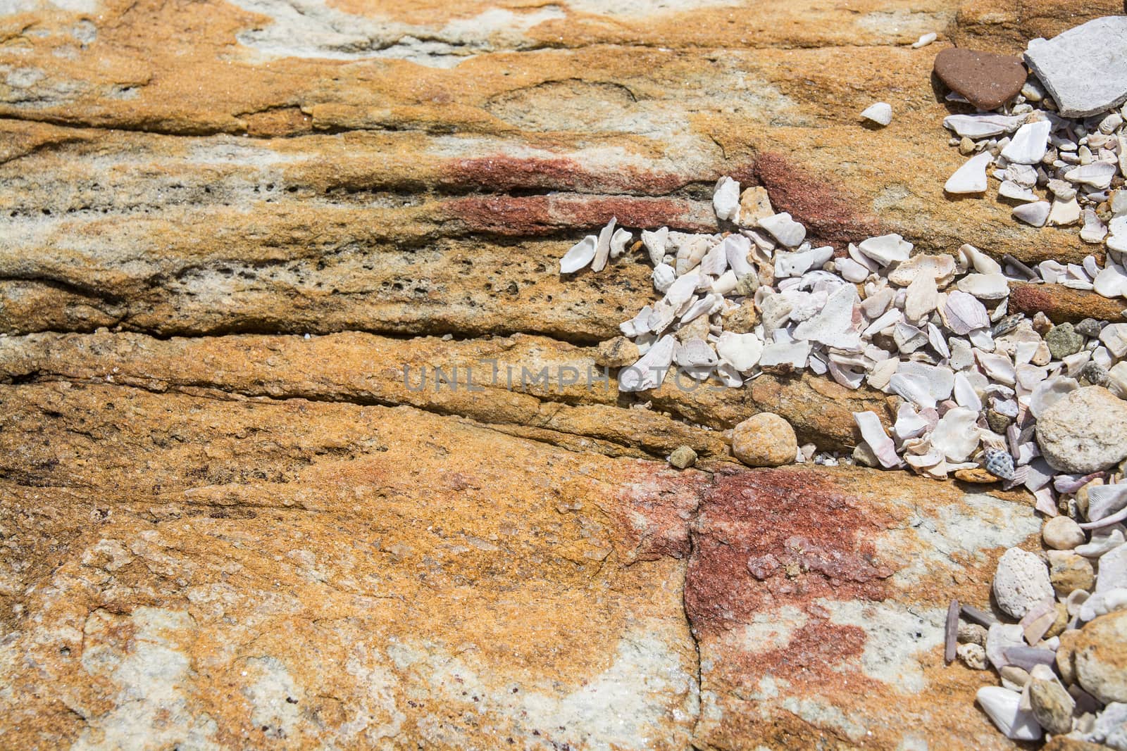 Rock background texture. Metamorphic rock with interesting natural pattern, Southern Province, Sri Lanka, Asia.