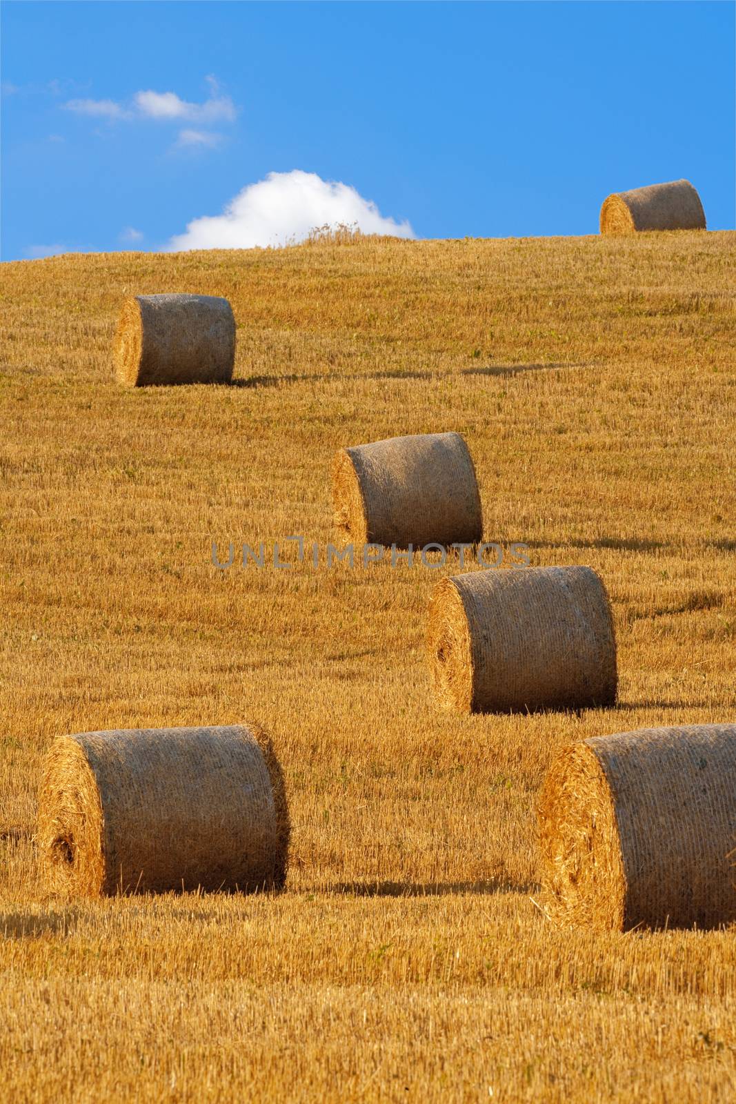 bales of hay by courtyardpix