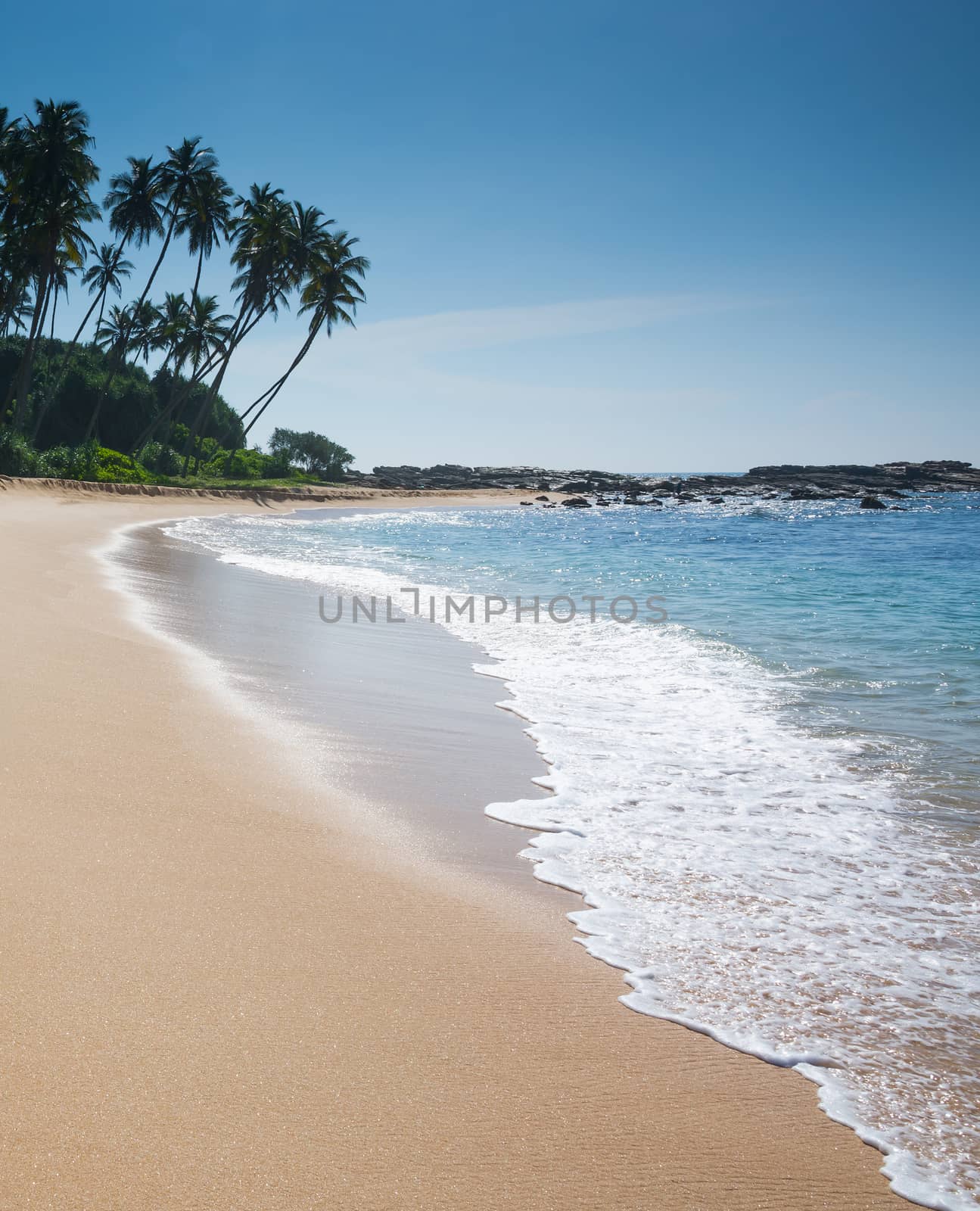 Paradise beach with coconut trees and footprints in golden sand, Tangalle, Southern Province, Sri Lanka, Asia.