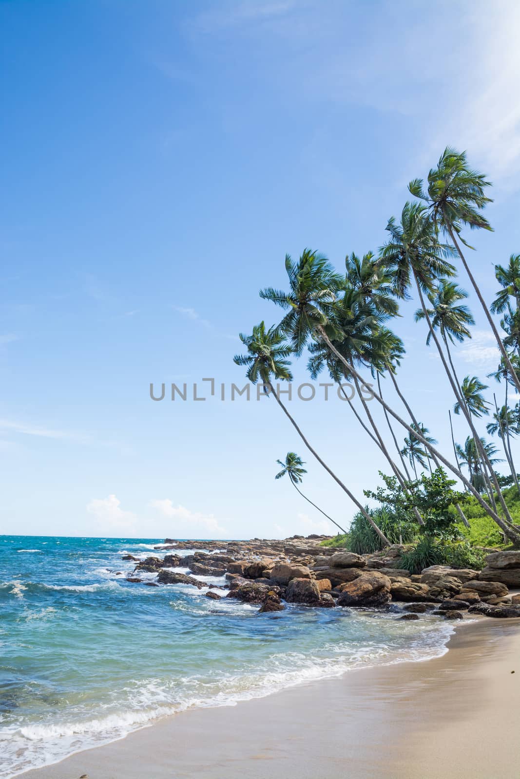 Tropical rocky beach by ArtesiaWells