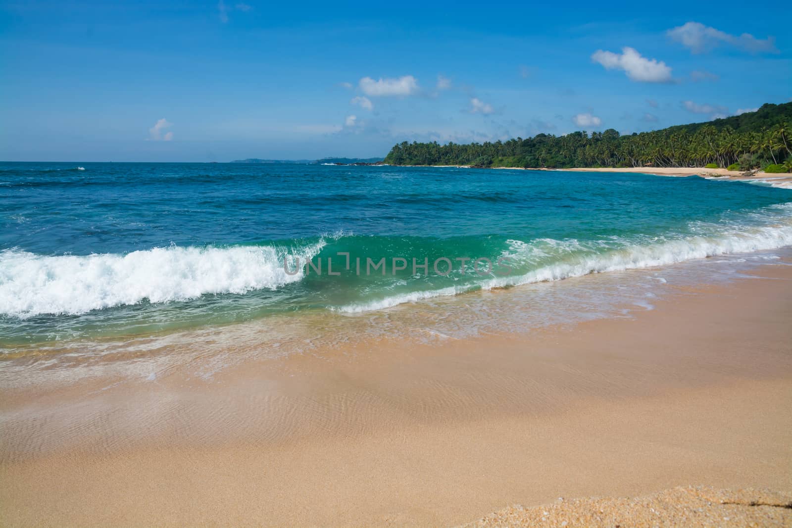 Green wave on sandy paradise beach with coconut palms, golden sand and emerald green water on the edge of Indian Ocean, Southern Province, Sri Lanka, Asia.