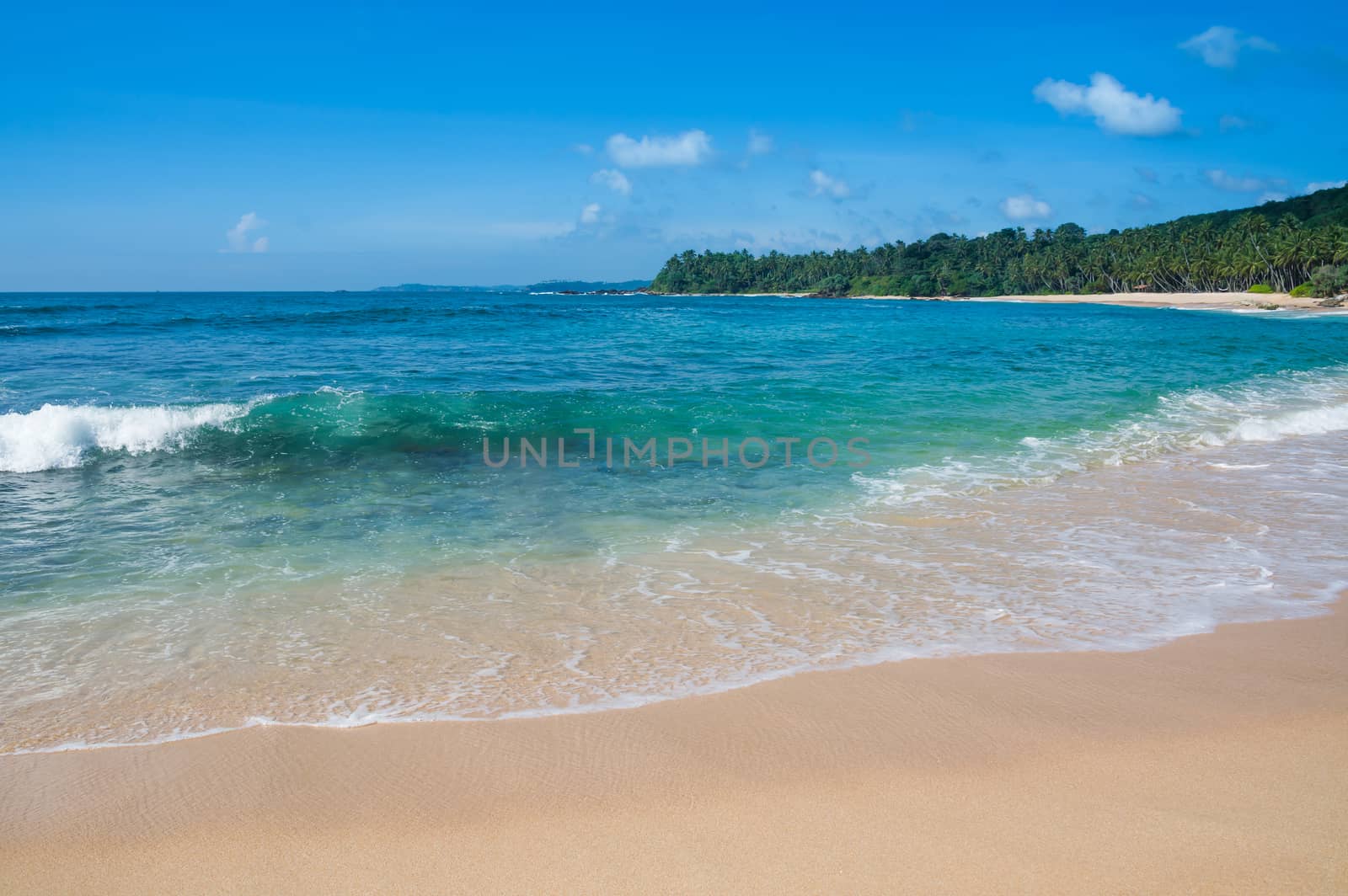 Green wave on sandy paradise beach with coconut palms, golden sand and emerald green water on the edge of Indian Ocean, Southern Province, Sri Lanka, Asia.