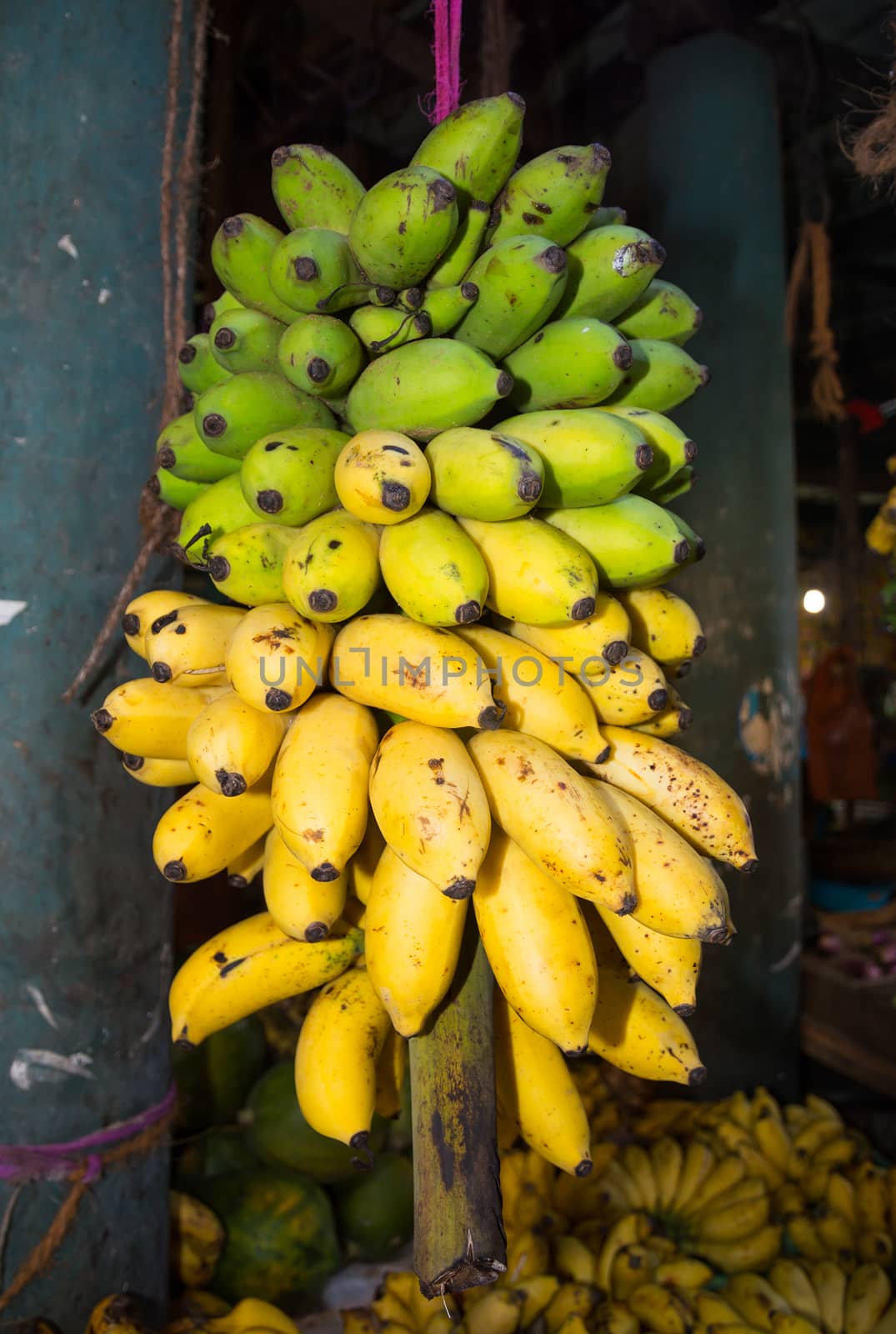 Green and yellow bananas in the Tangalle market, Southern Province, Sri Lanka, Asia.