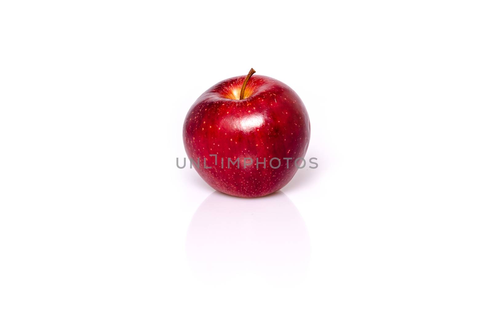 Single red apple by franky242